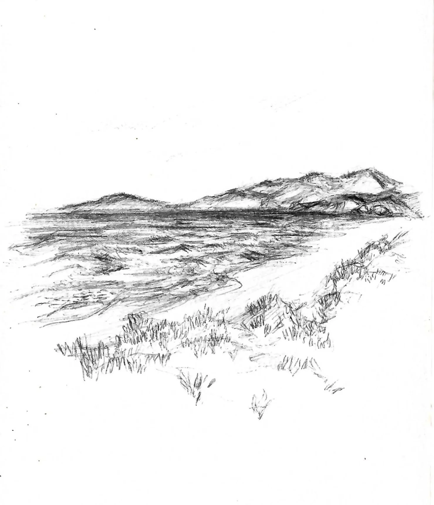 Scan+6.jpg