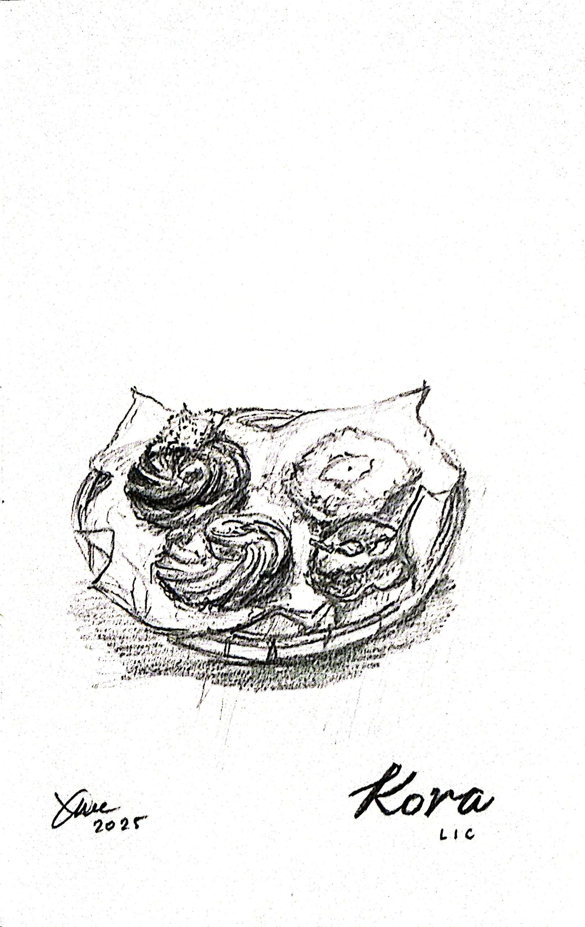 Kora Queens | NYC | 2025