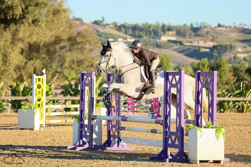 Contact — Ladybrook Equestrian LBE Show Stables, Phoenix, Arizona