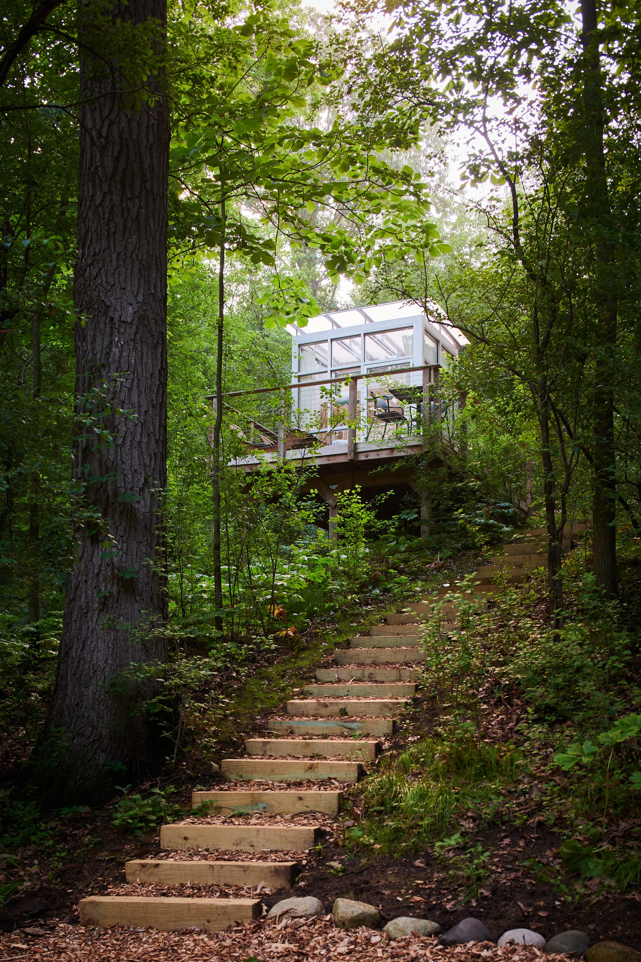 Bob Coscarelli_GlassHouses6_2646162.jpg