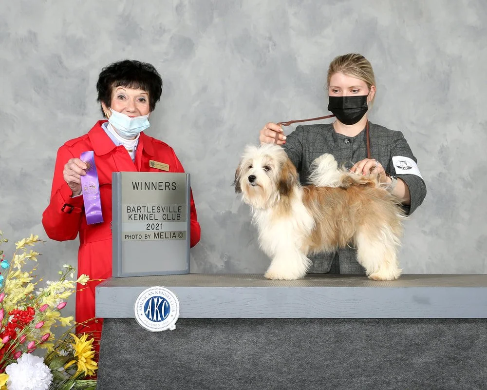 A woman with short dark hair and a face mask holding ribbons and a plaque, standing beside a groomer handling a small fluffy dog on a table at a kennel club event.