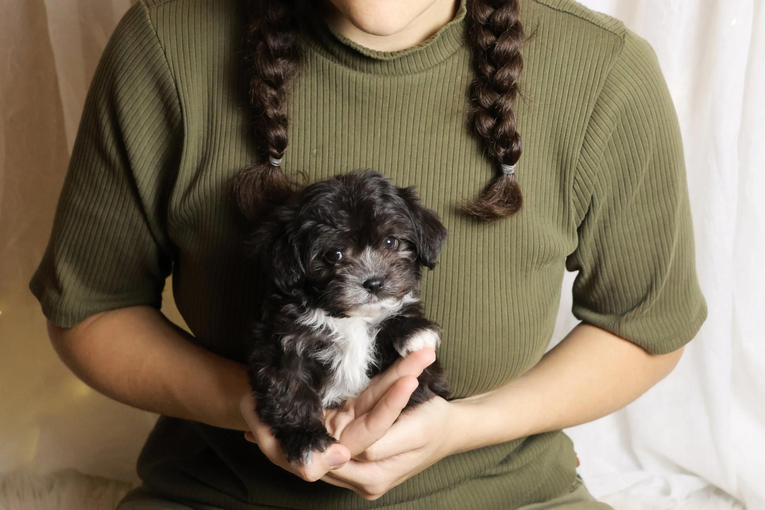 Person wearing a green shirt holding a small black and white puppy.