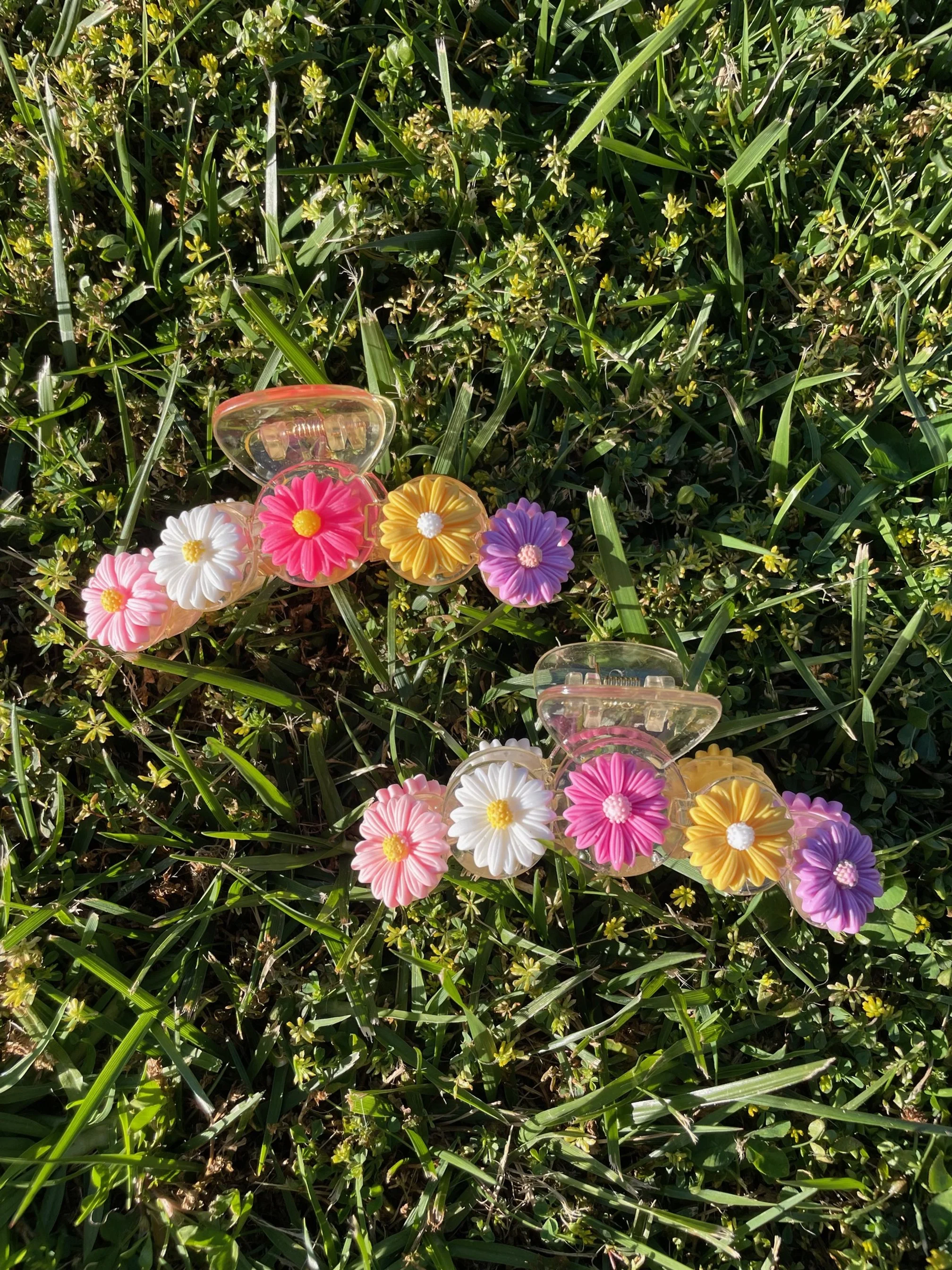 Rainbow daisy Claw.jpg