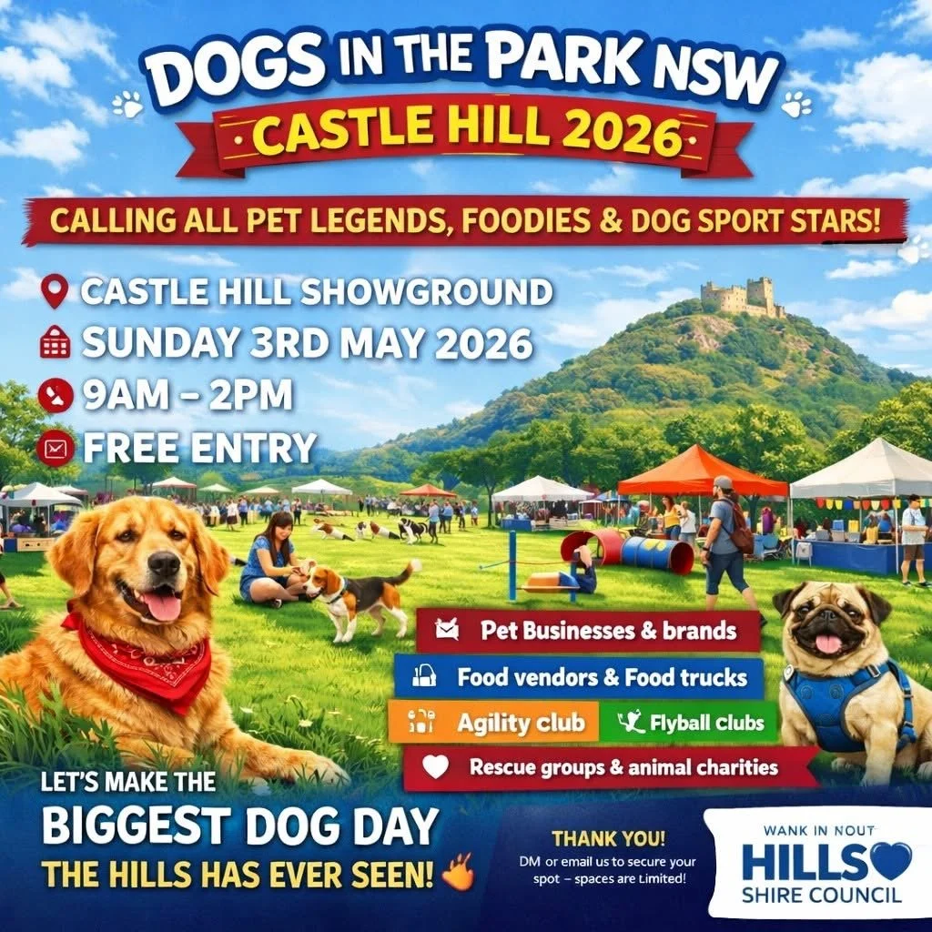 Dogs Day Out Castle Hill