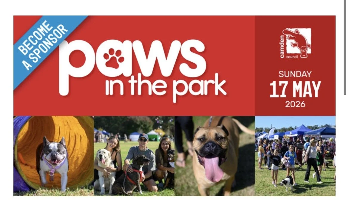 Paws In The Park Camden