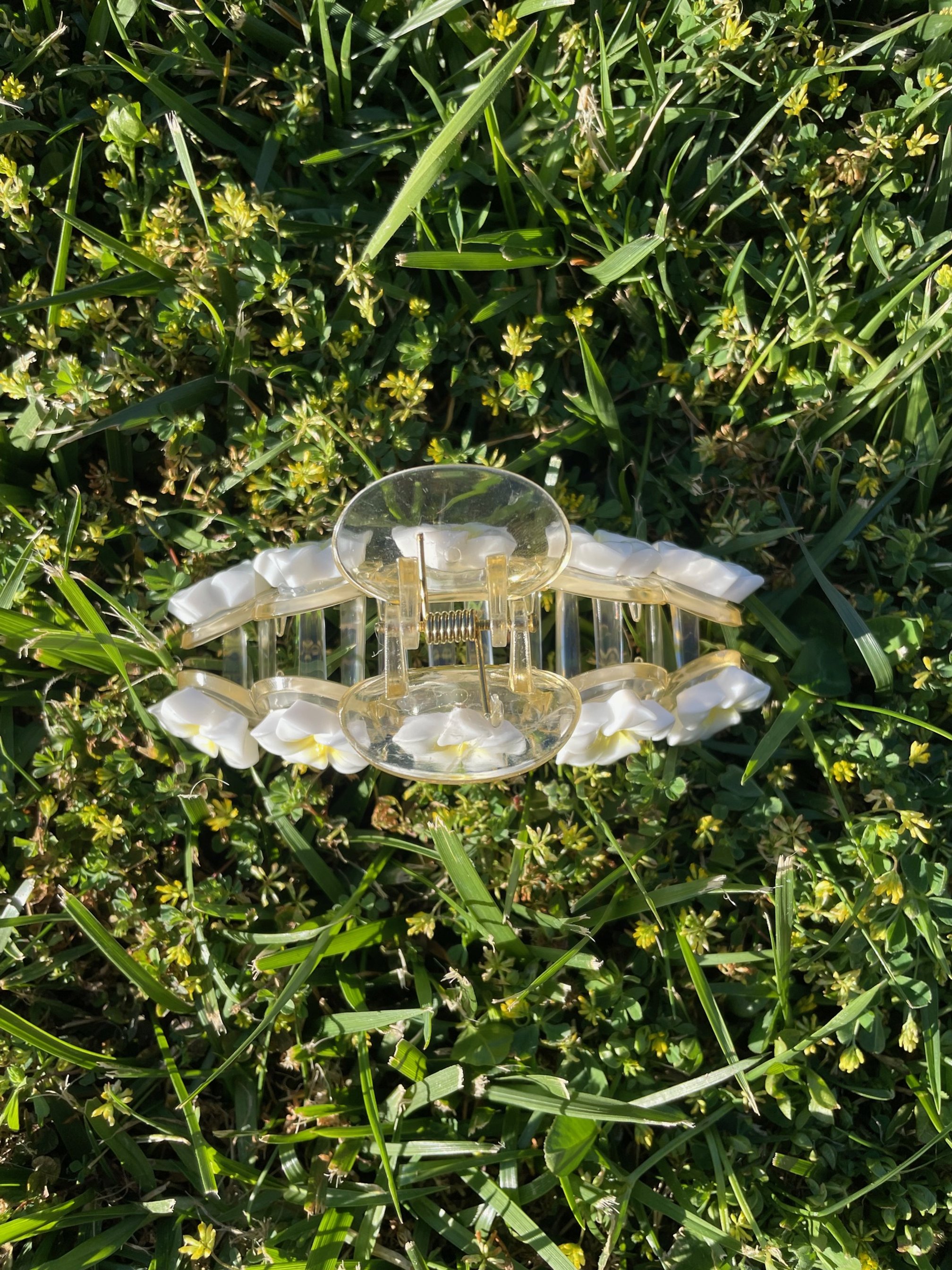 Frangipani Claw 3.jpg