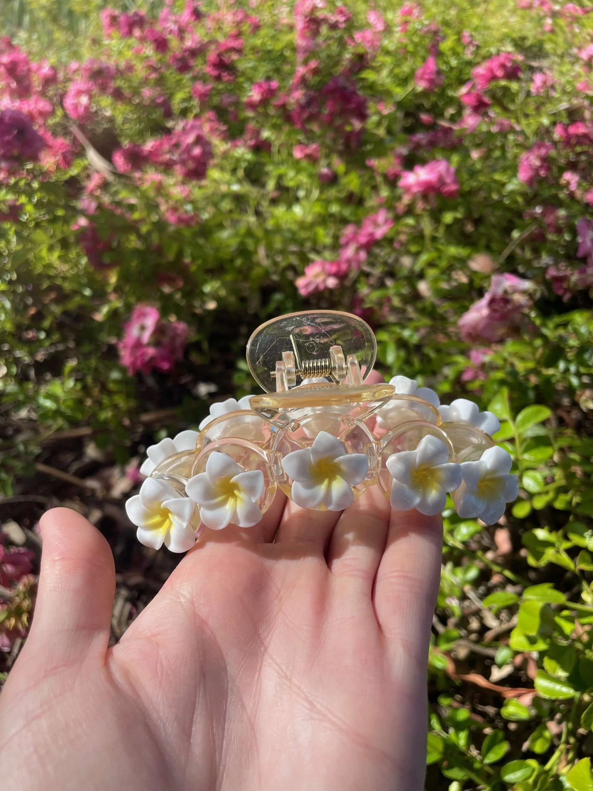 White & Yellow Frangipani Claw Large  2.jpg