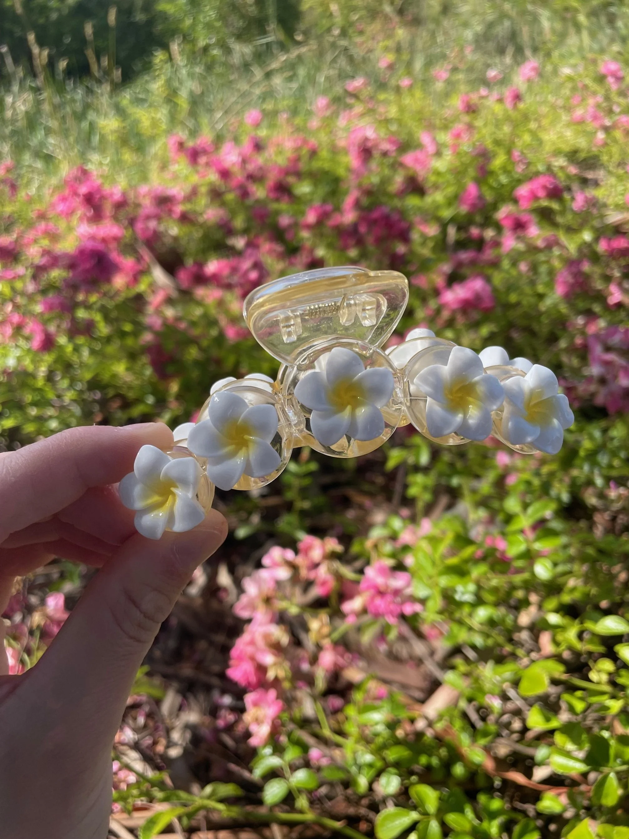 Yellow & White Frangipani Hair Claw