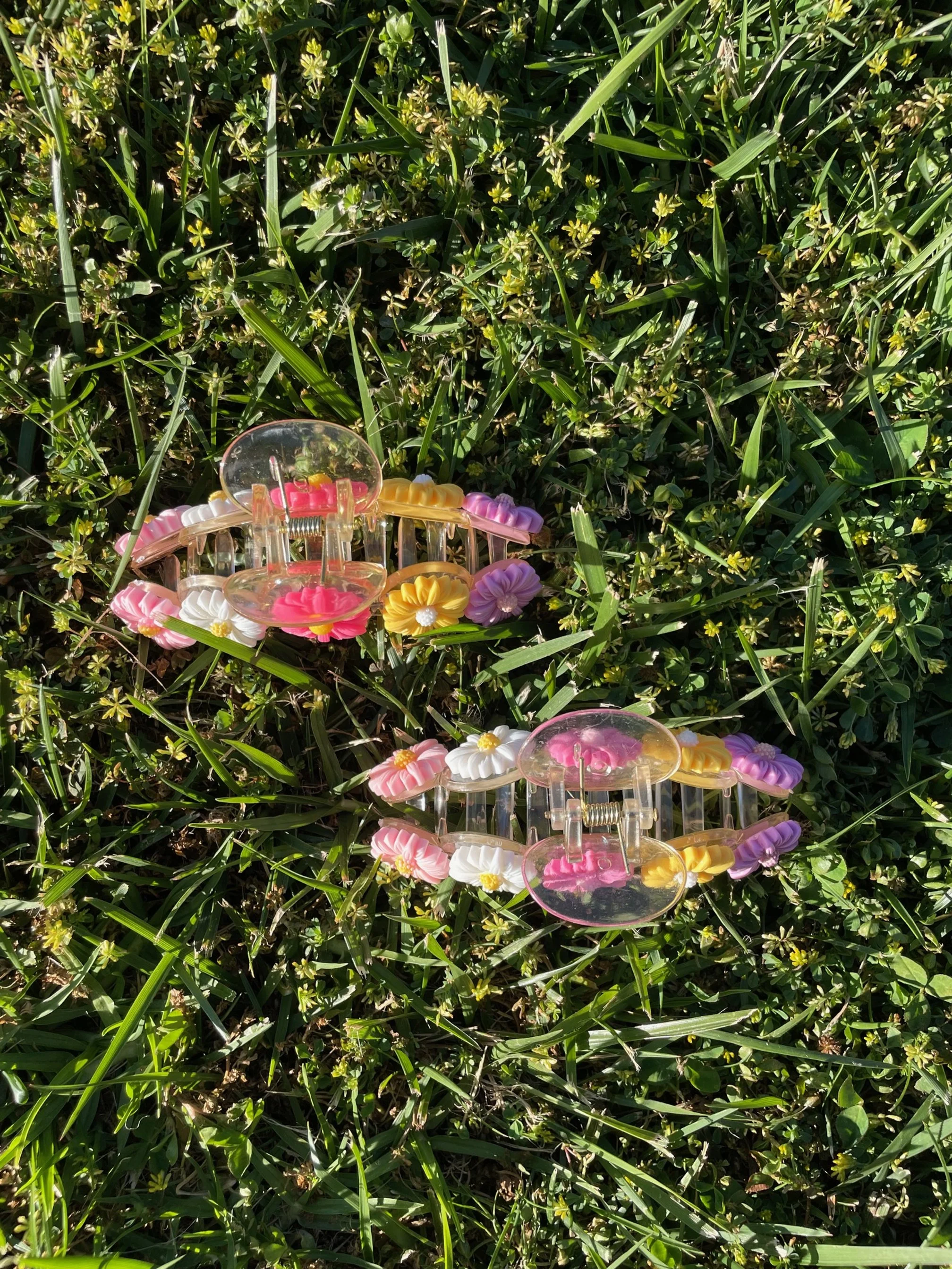 Rainbow Daisy Claw 3.jpg