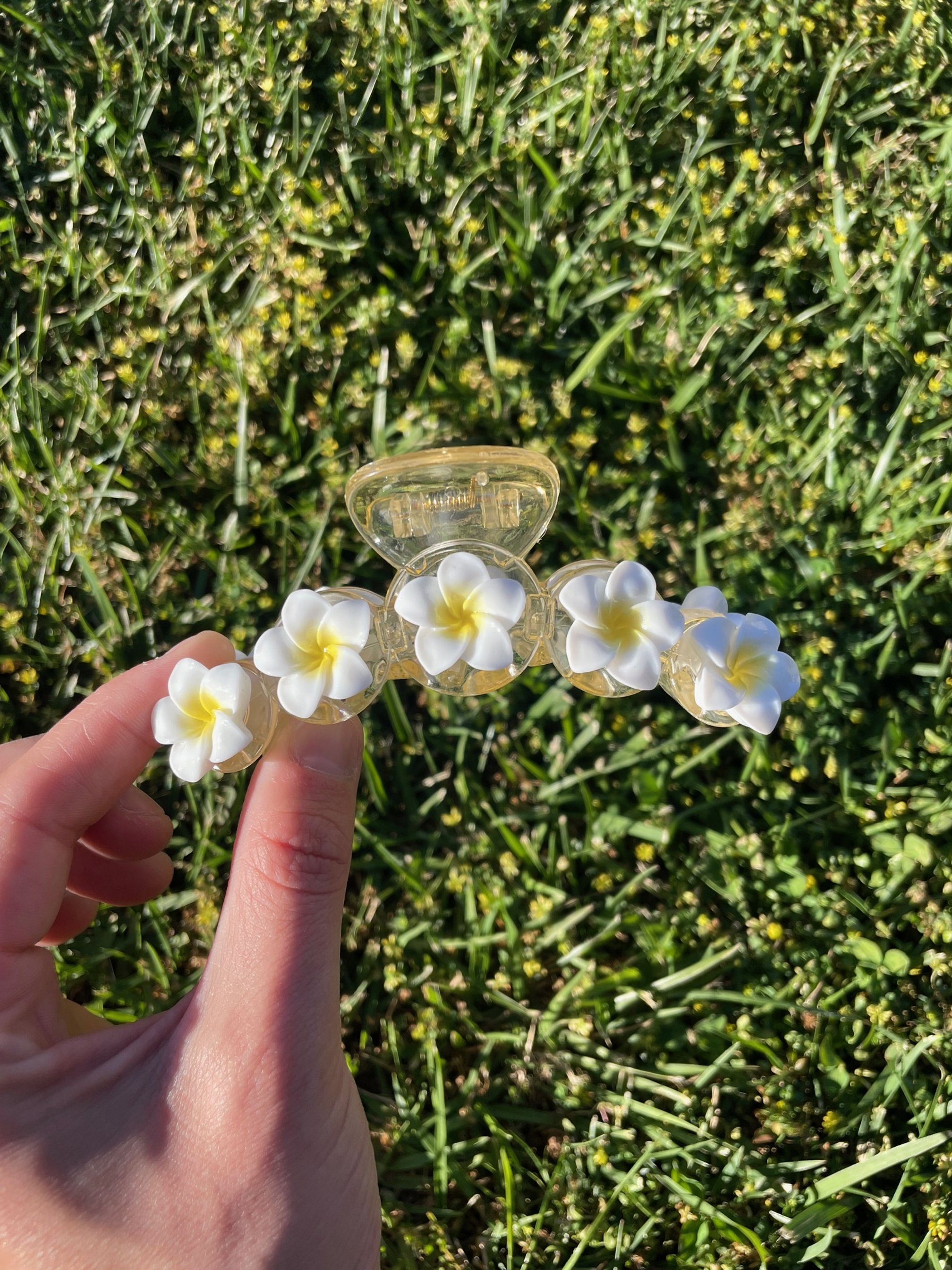 Frangipani Claw 12.jpg