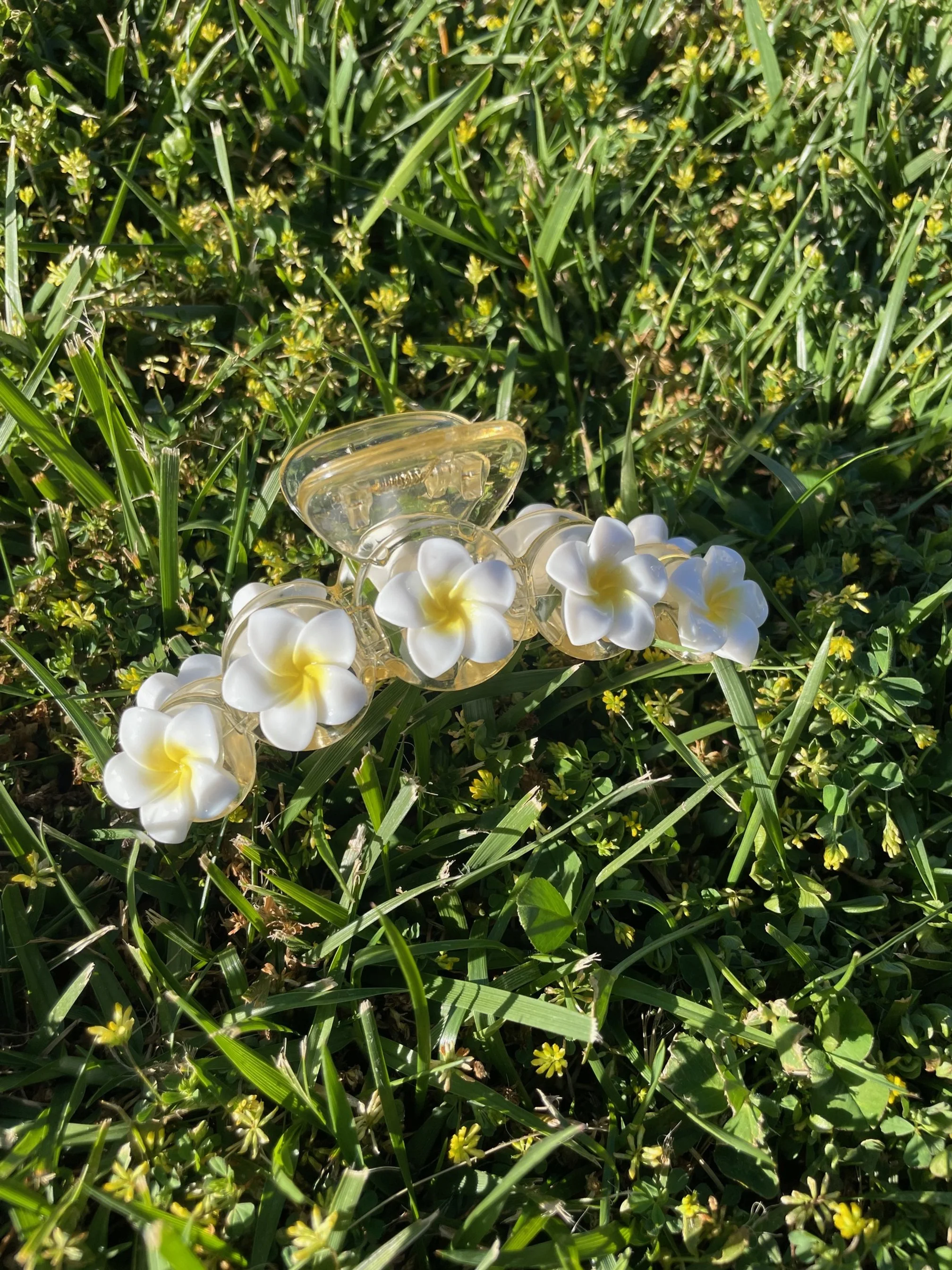 Frangipani Claw 2 .jpg