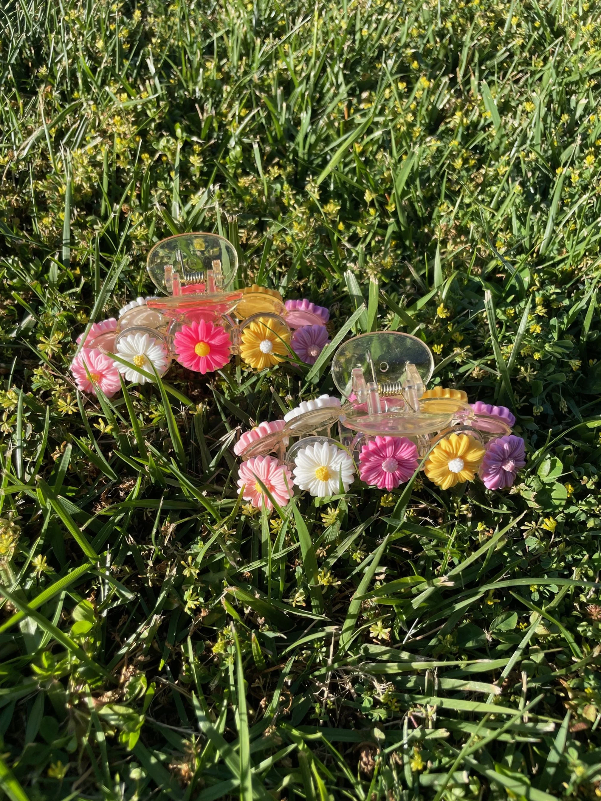 Rainbow Daisy Claw 4.jpg