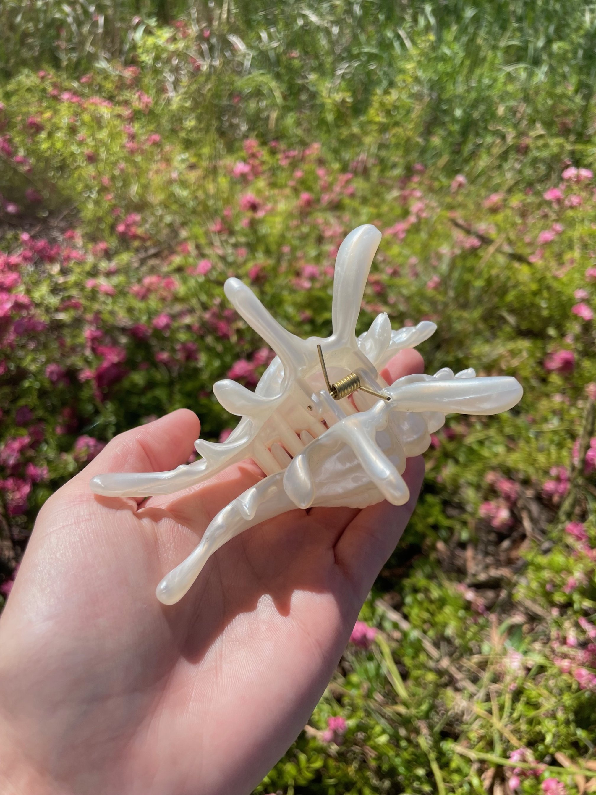 Pearl Shell Clip.jpg