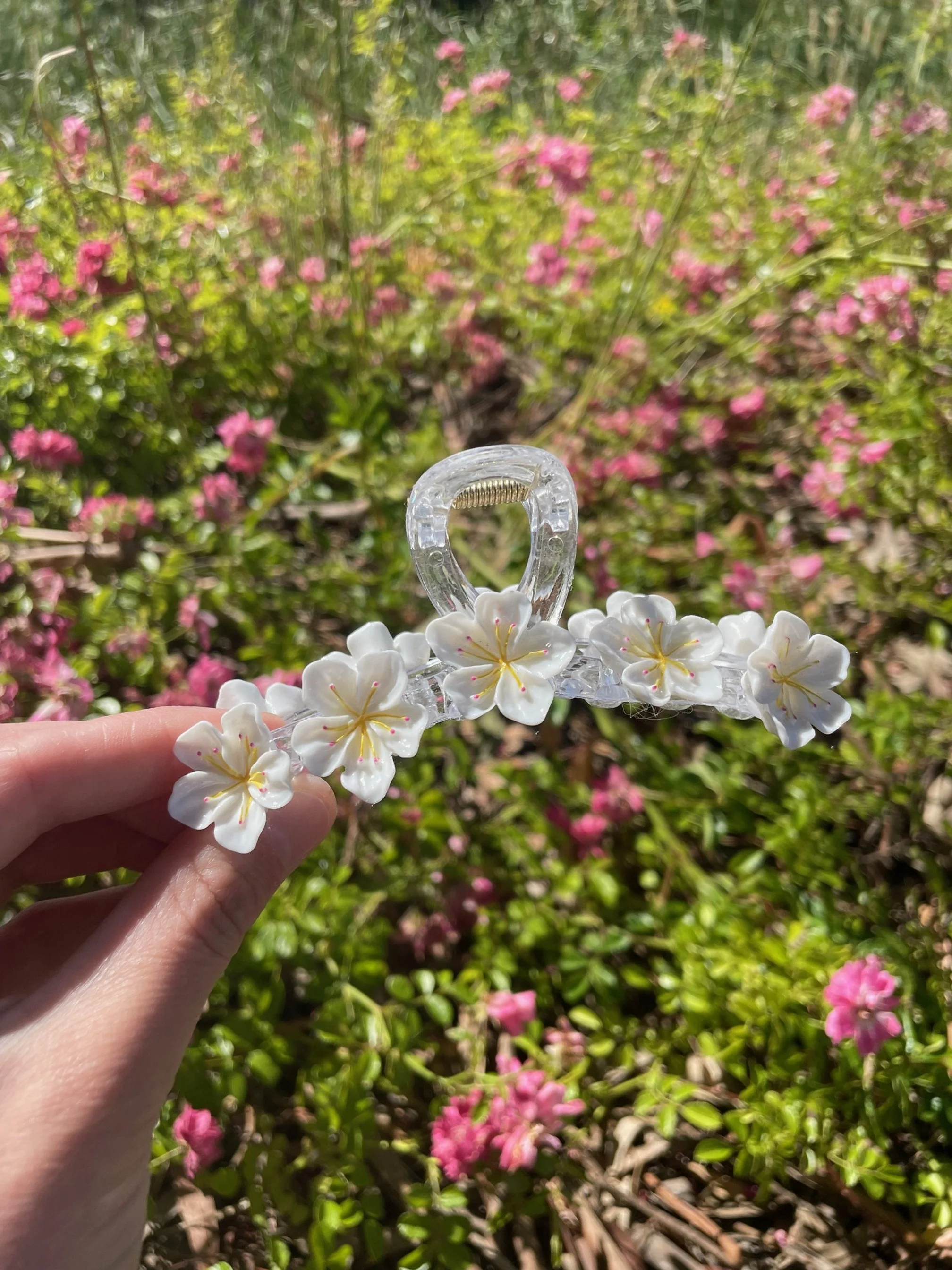White hibiscus Claw small.jpg