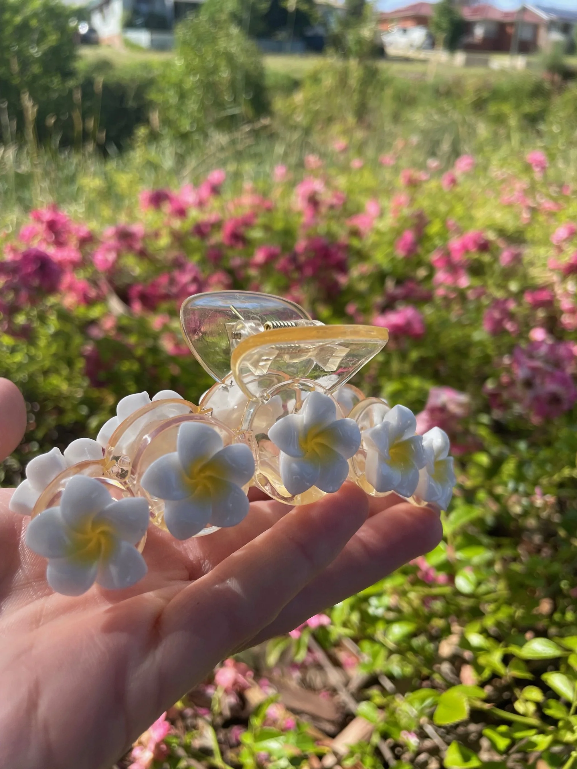 White & Yellow Frangipani Claw Large  4.jpg