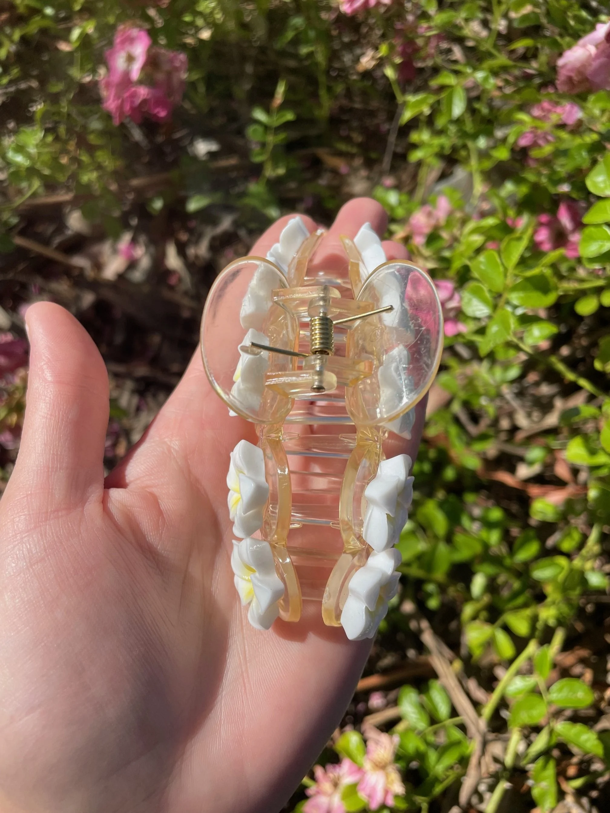 White & Yellow Frangipani Claw Large  3.jpg