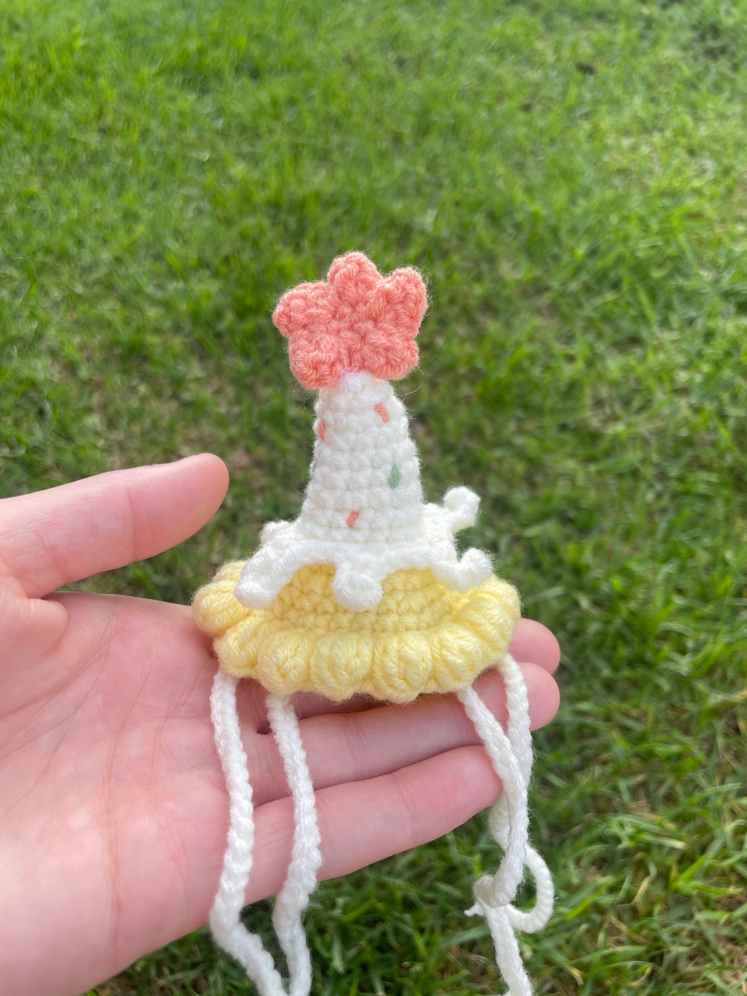 Crochet Party Hat 2.jpeg