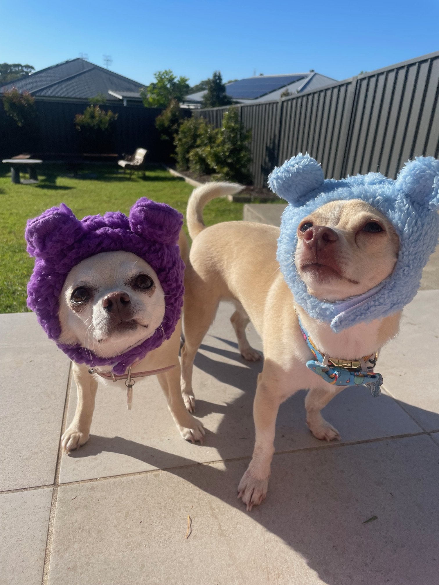 Fluffy Bear Beanie