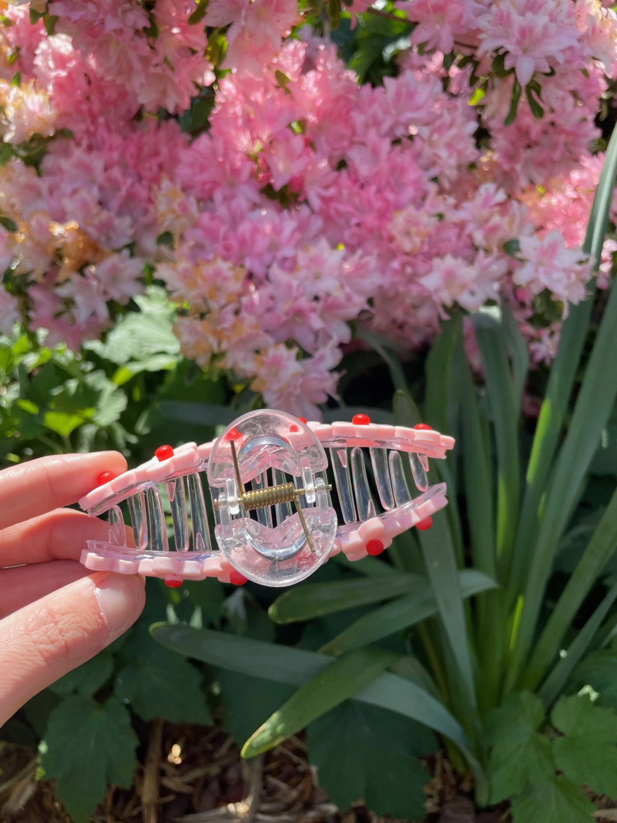 Pink Daisy claw 2.jpg