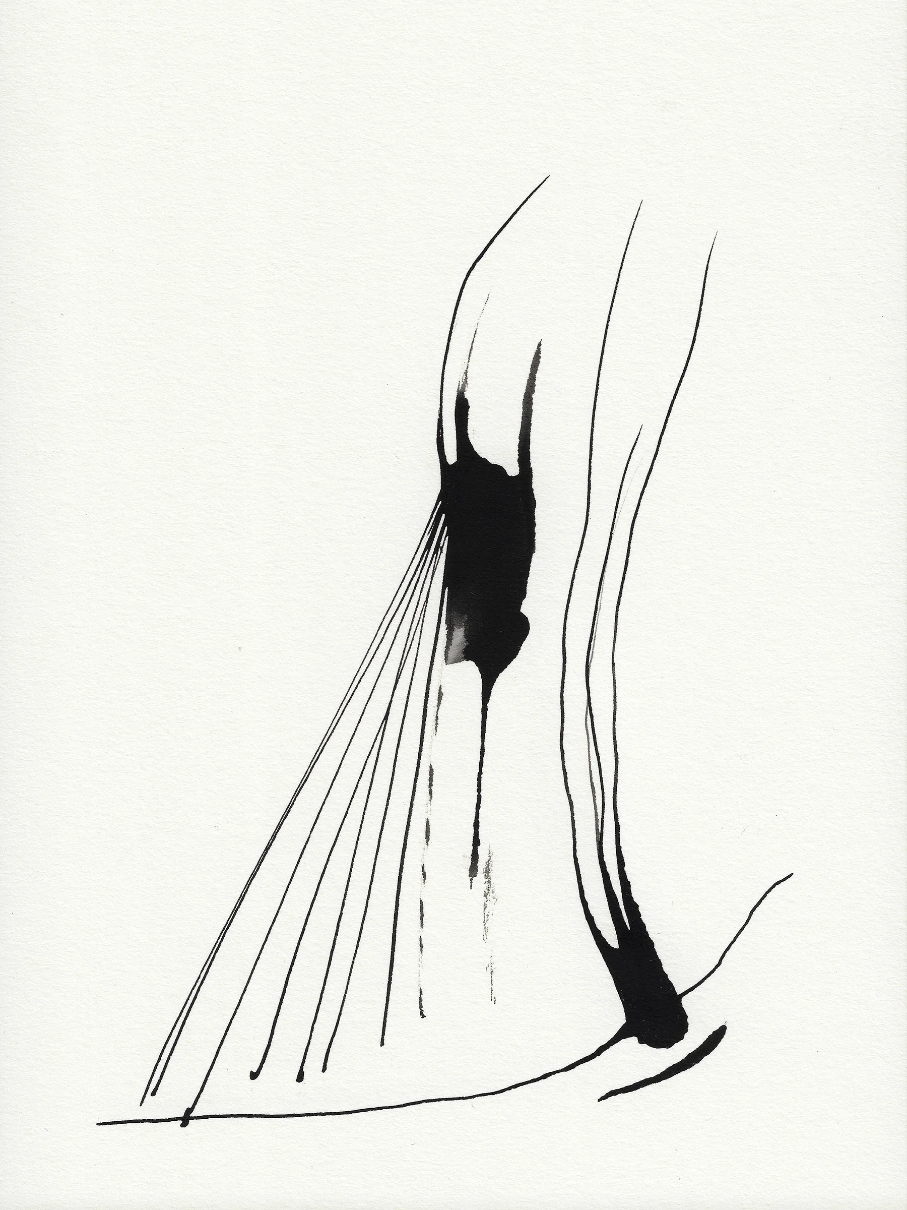 Daily Drawings No. 64 x Nimea Ariana.jpg