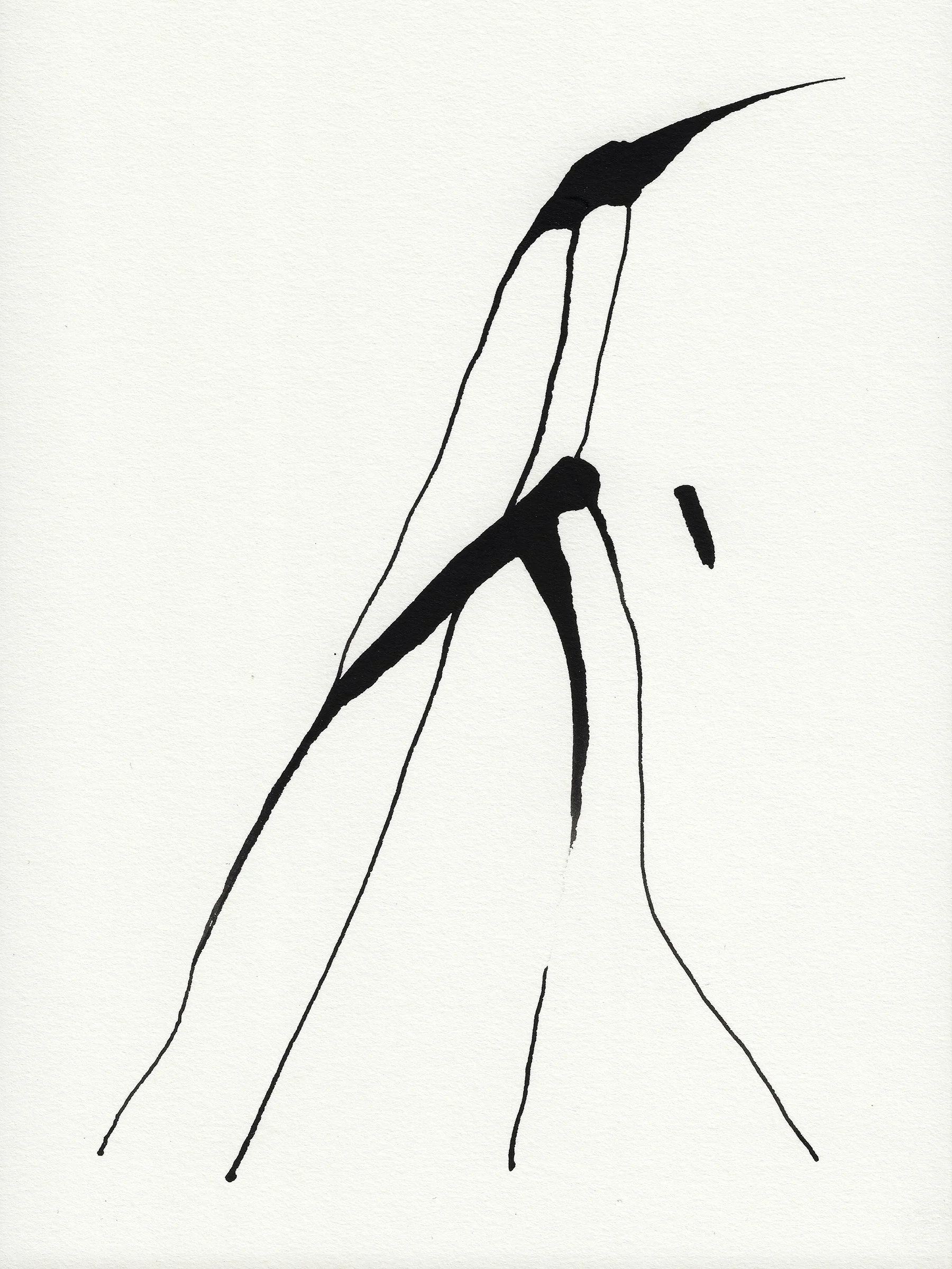 Daily Drawings No. 63 x Nimea Ariana.jpg