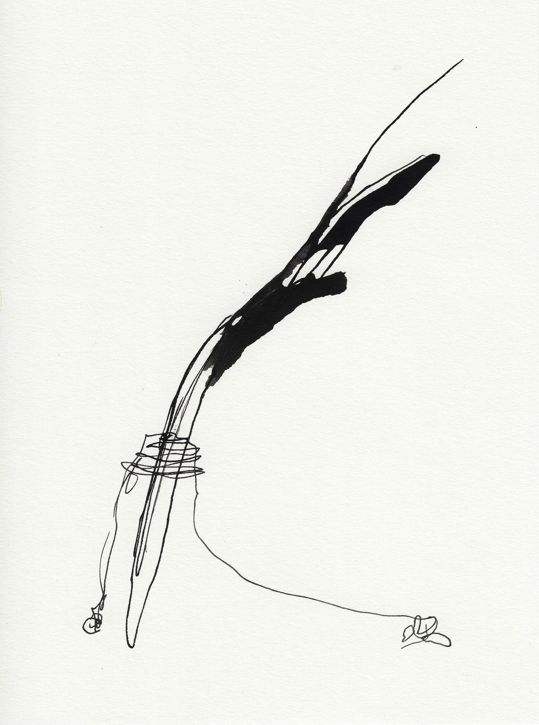 Daily Drawings No. 49 x Nimea Ariana.jpg