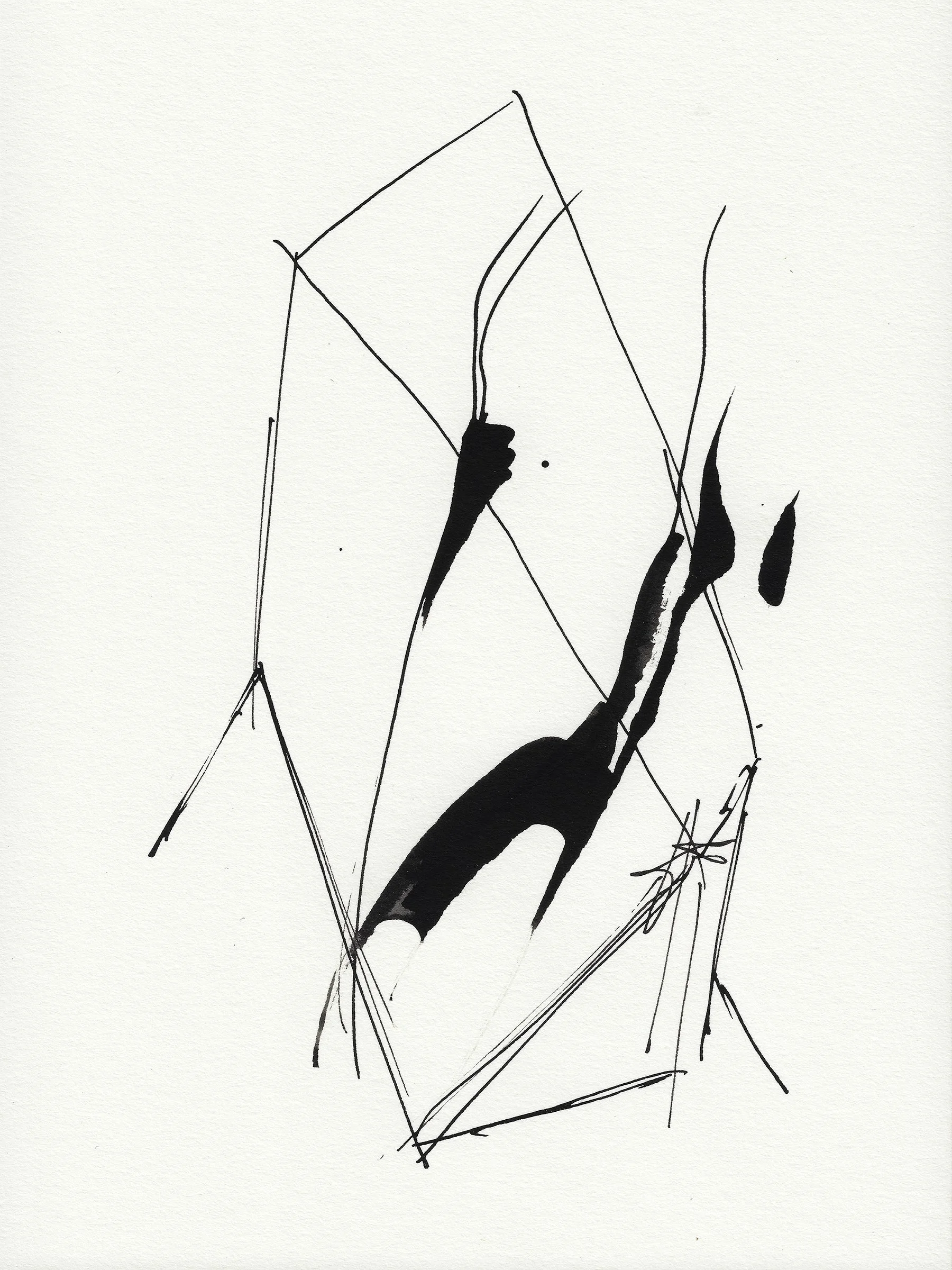 Daily Drawings No. 74 x Nimea Ariana.jpg