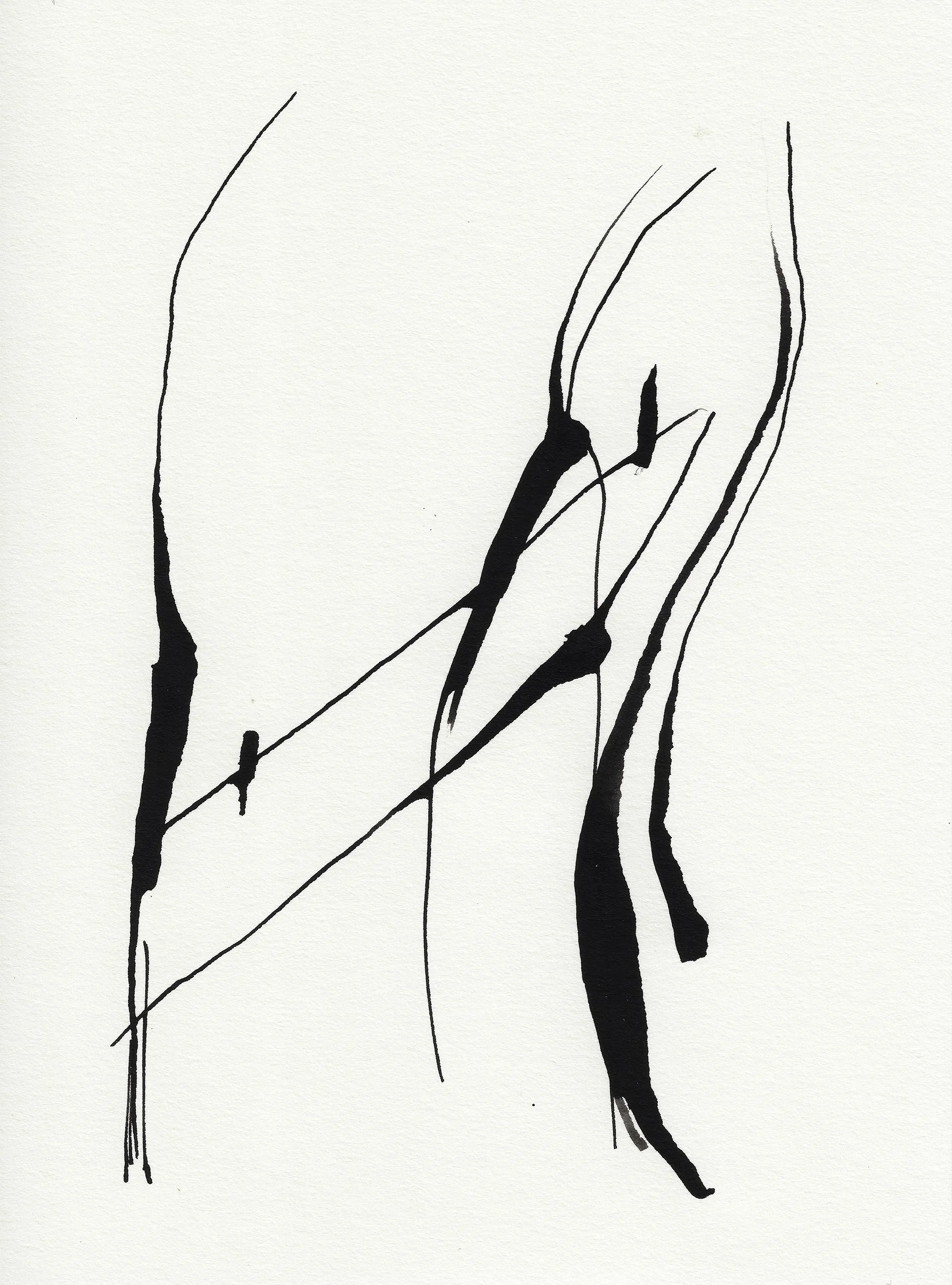 Daily Drawings No. 42 x Nimea Ariana.jpg