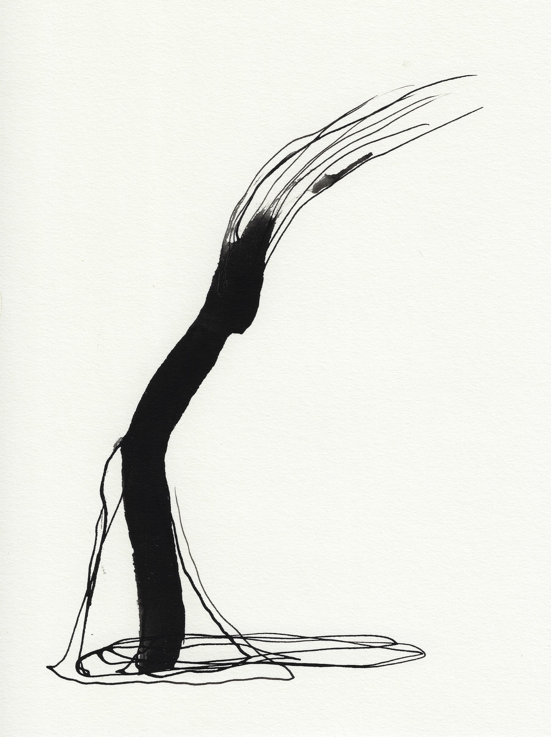 Daily Drawings No. 50 x Nimea Ariana.jpg
