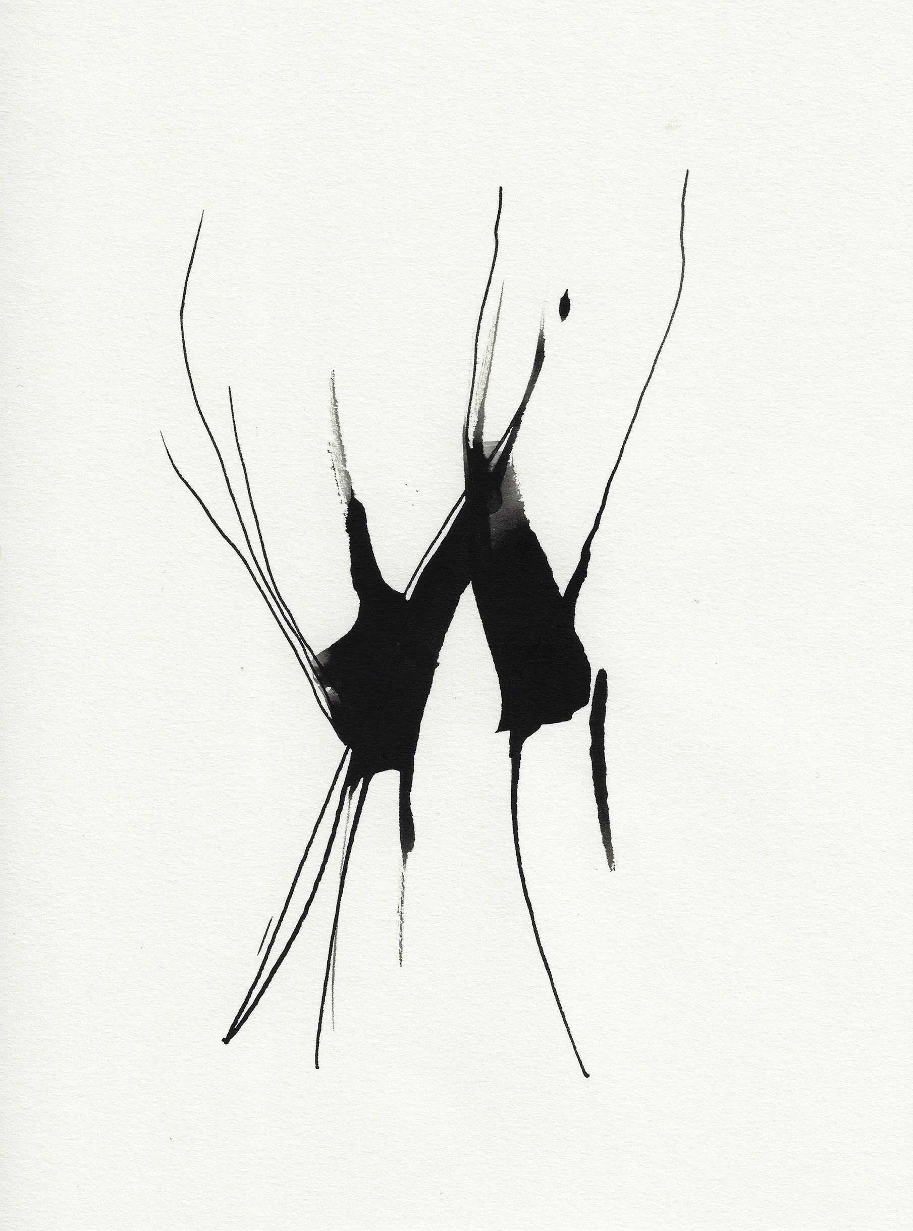 Daily Drawings No. 40 x Nimea Ariana.jpg