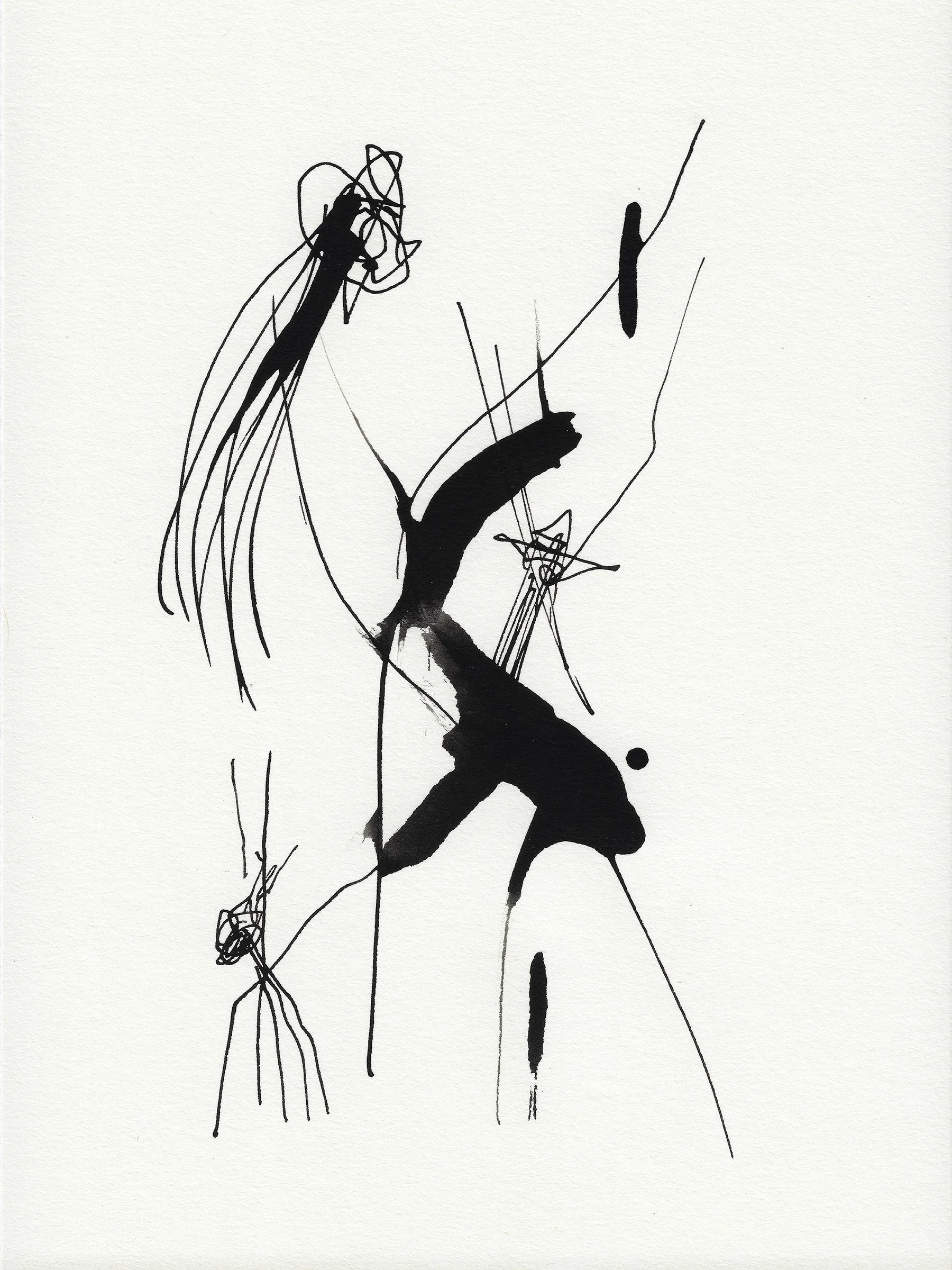 Daily Drawings No. 70 x Nimea Ariana.jpg