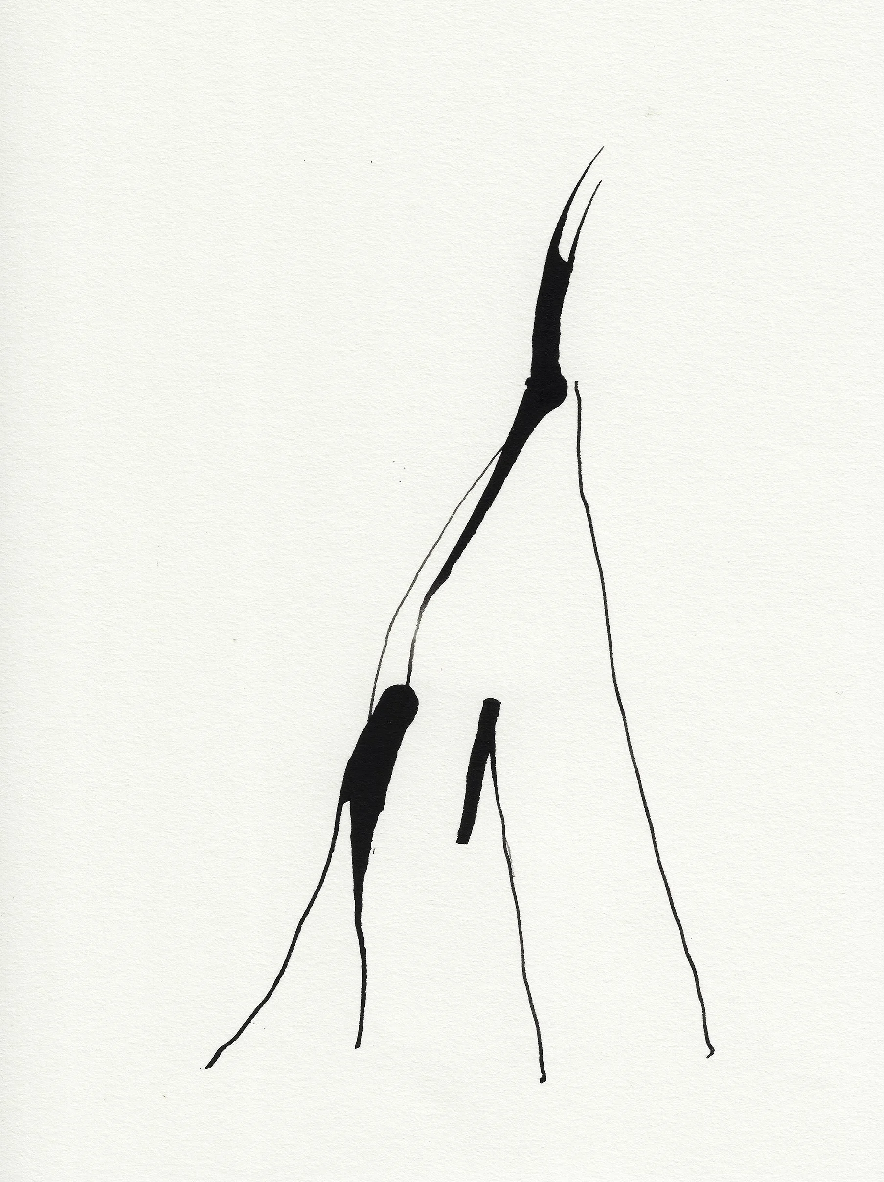 Daily Drawings No. 38 x Nimea Ariana.jpg
