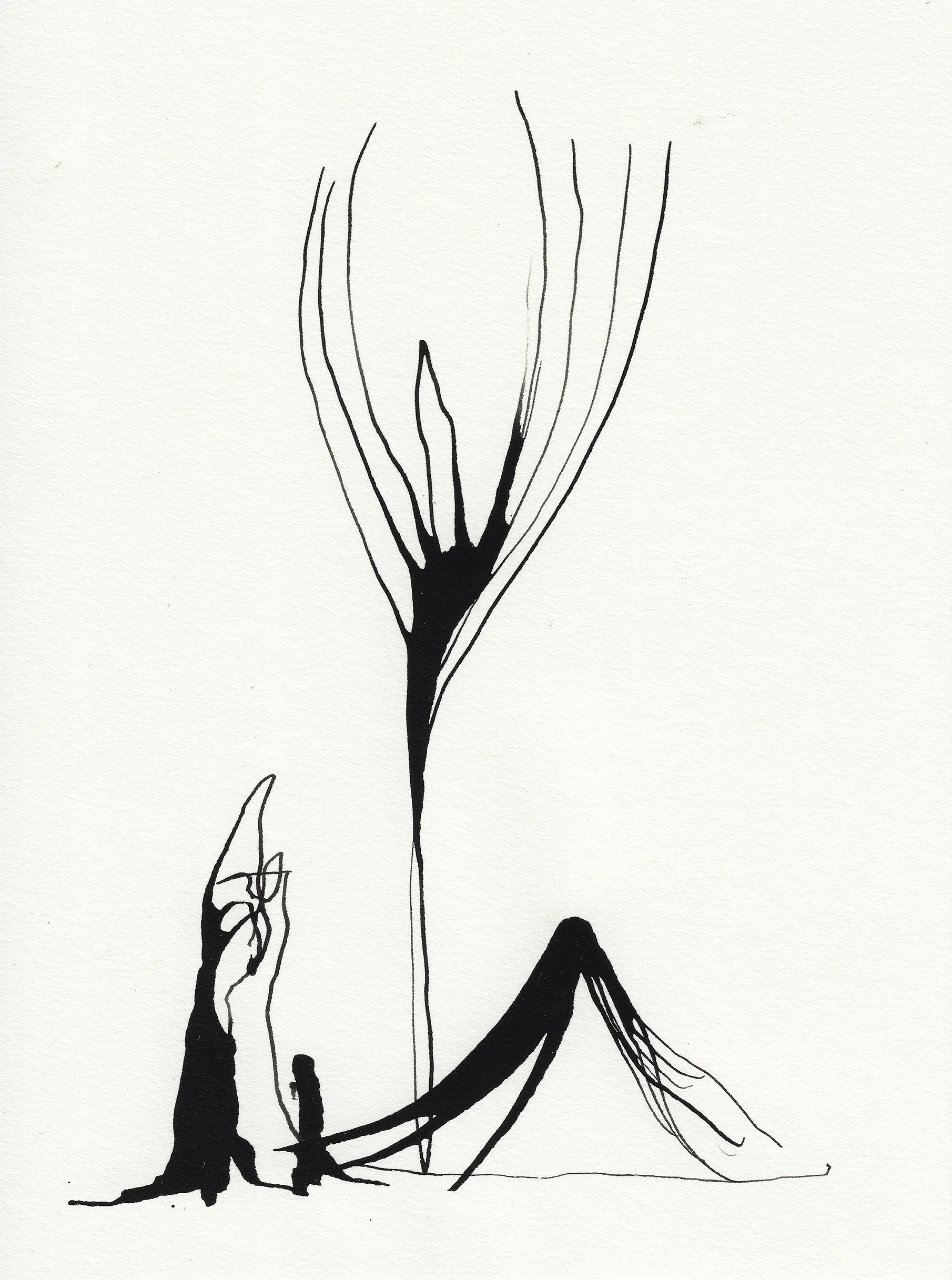 Daily Drawings No. 55 x Nimea Ariana.jpg