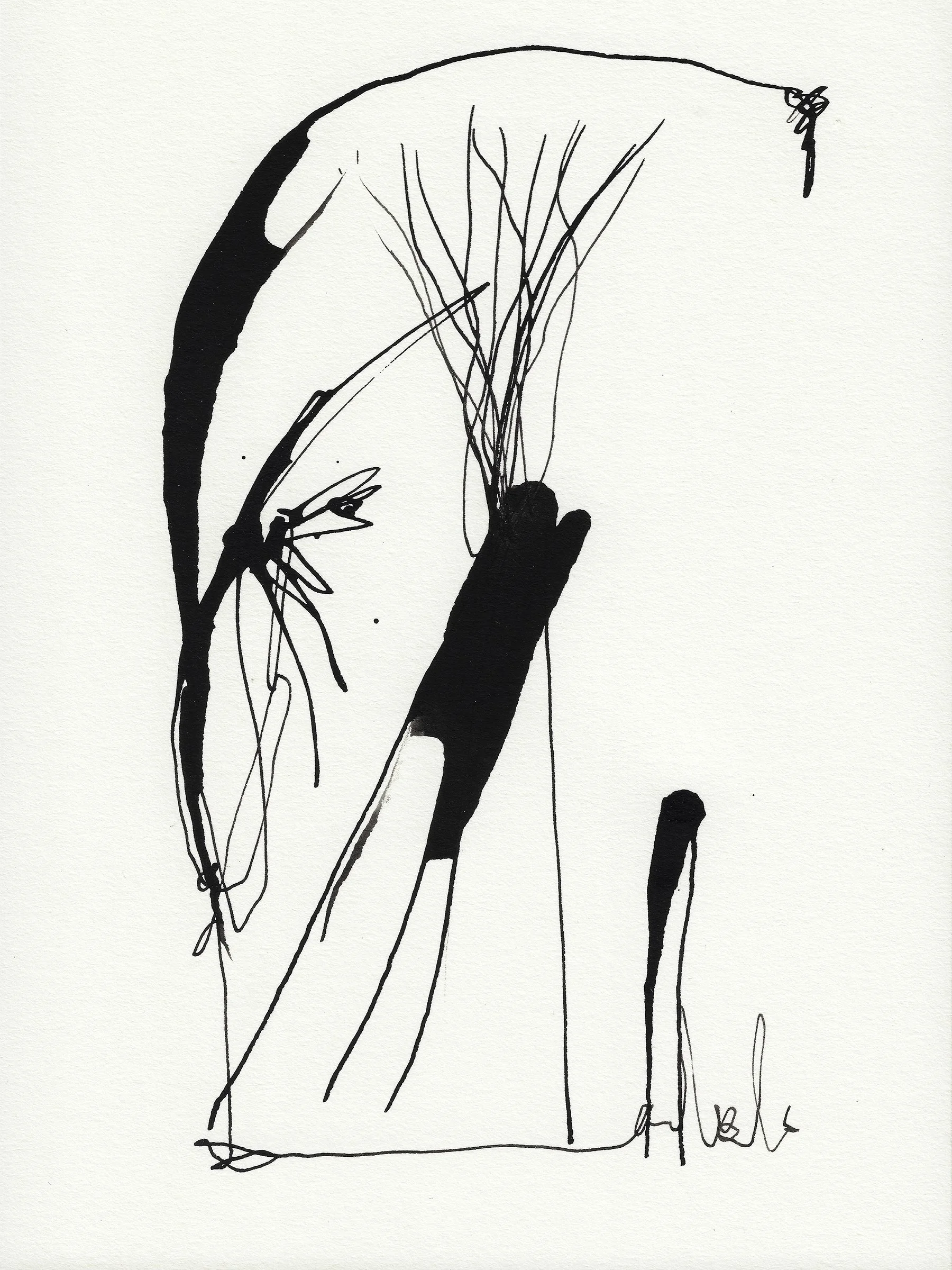 Daily Drawings No. 65 x Nimea Ariana.jpg