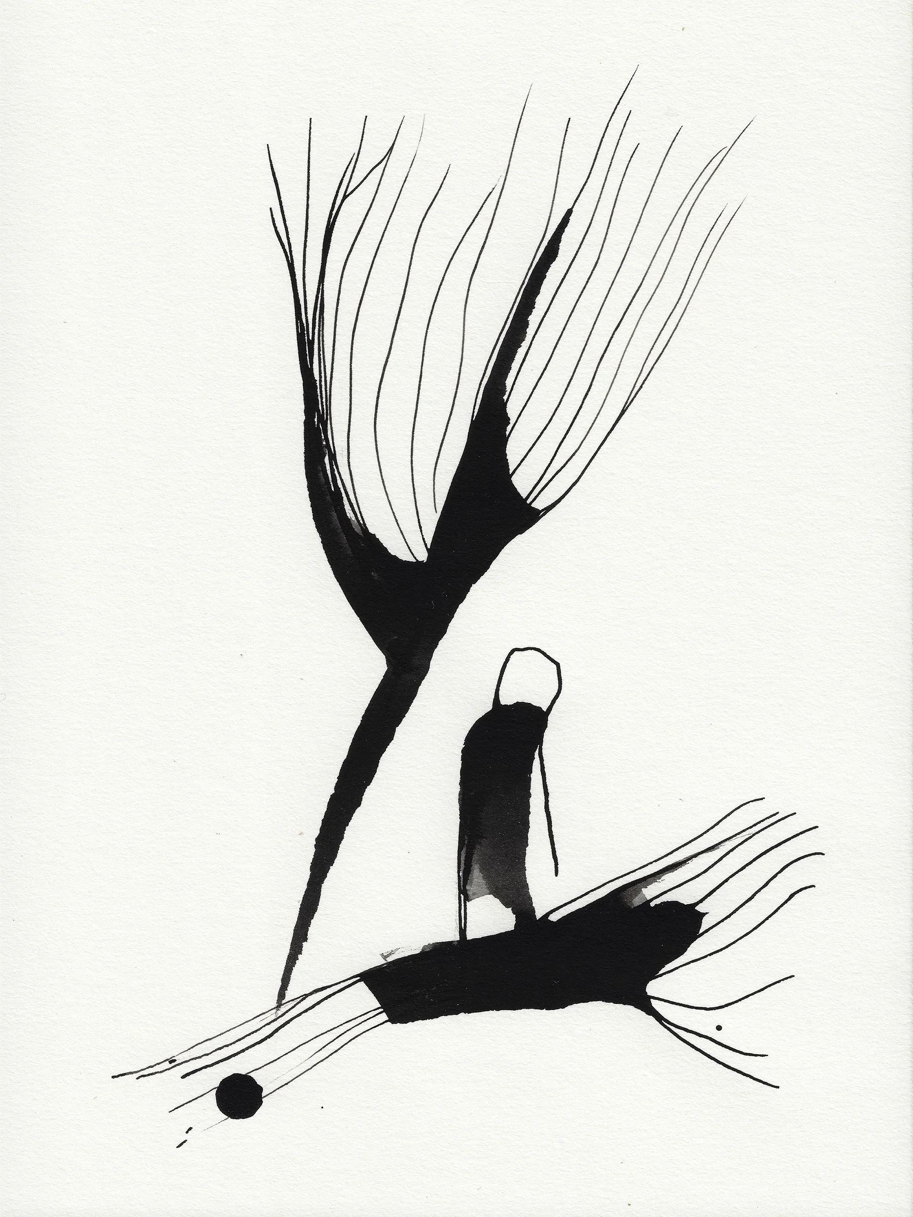 Daily Drawings No. 72 x Nimea Ariana.jpg