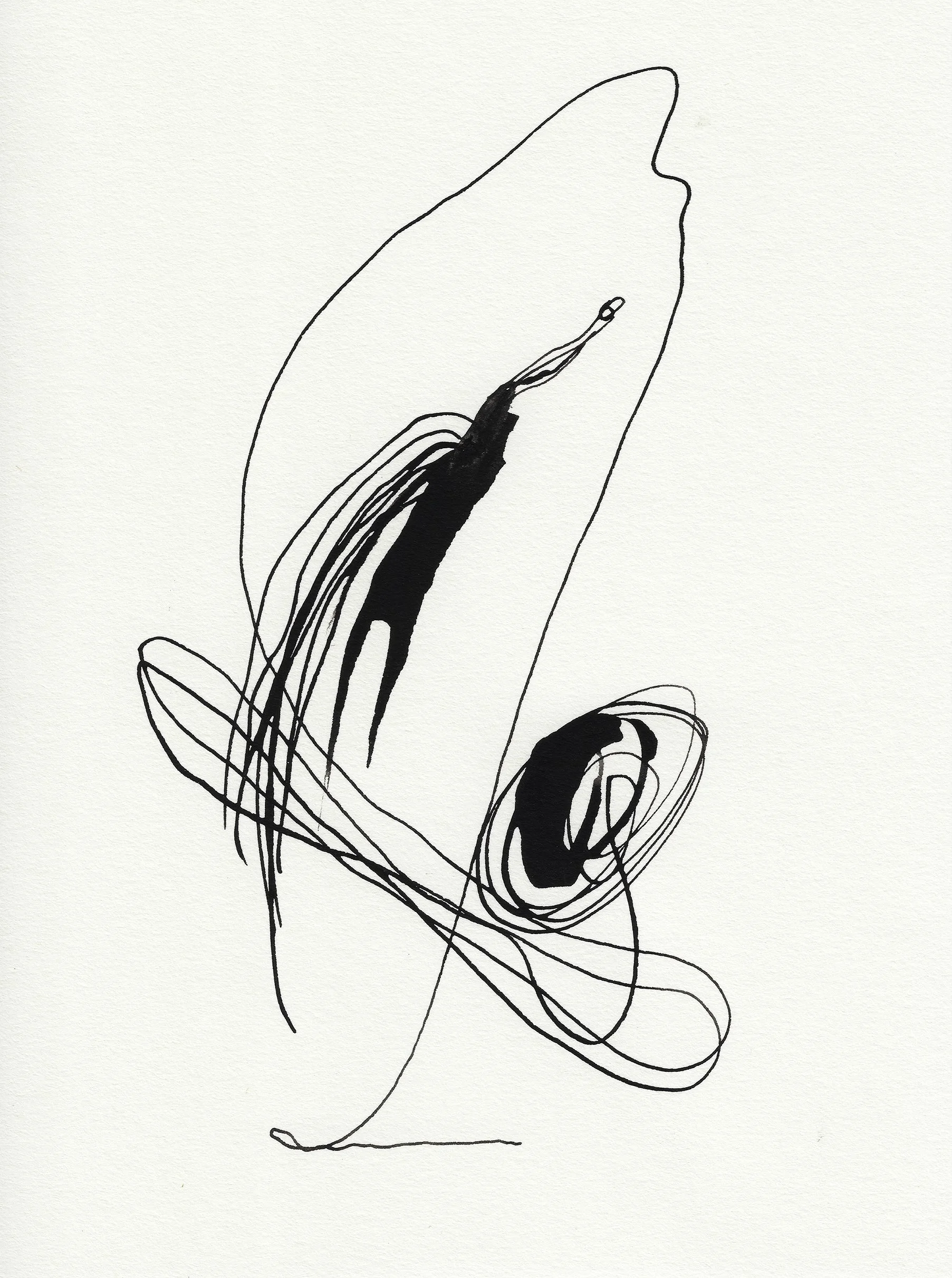 Daily Drawings No. 48 x Nimea Ariana.jpg