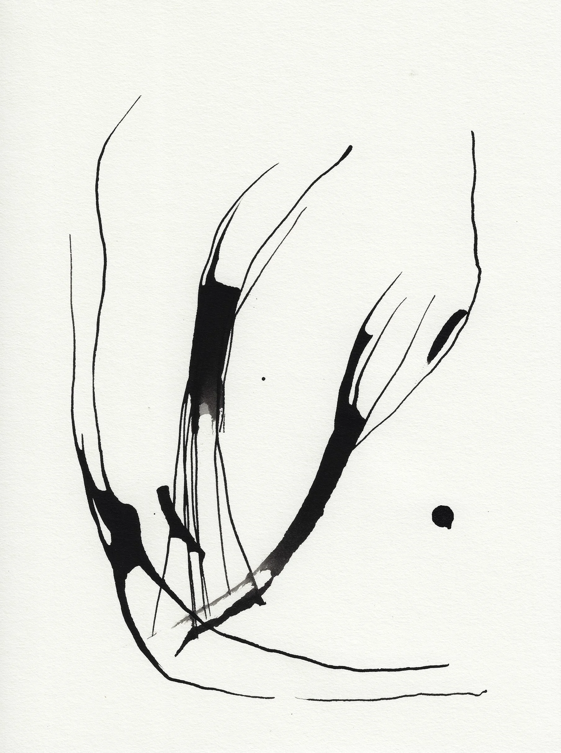 Daily Drawings No. 41 x Nimea Ariana.jpg