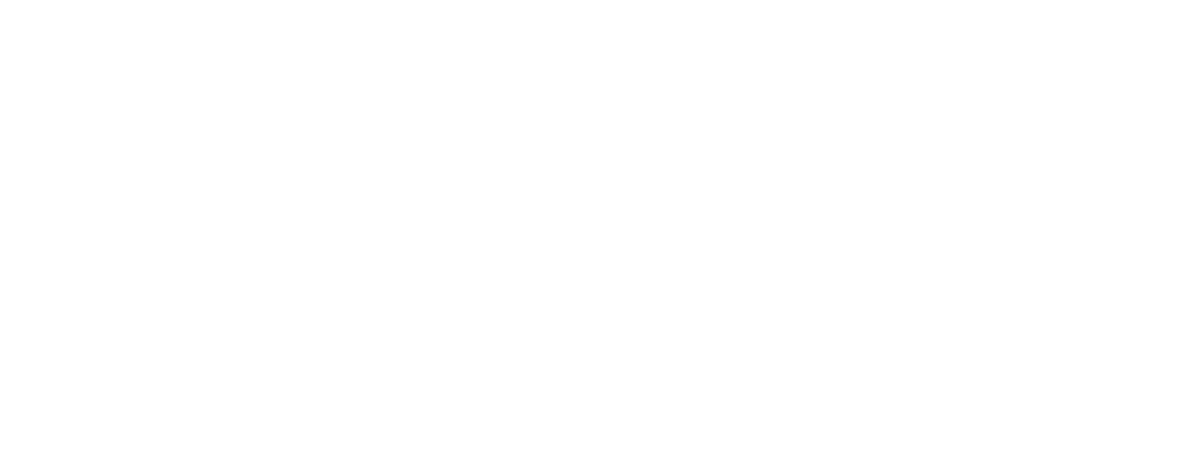 Tampa Hospitality Group
