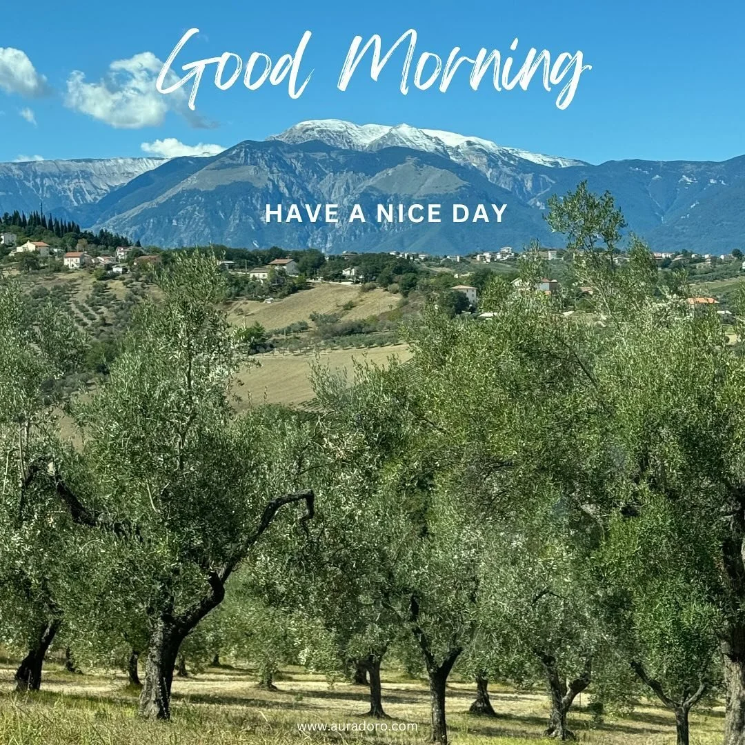 ✨🌿Good morning! 🌿✨ 

 The seasons are changing, and we&rsquo;re starting to feel it in the air. A recent rain shower even brought the first dusting of snow to the mountains&mdash;though it won&rsquo;t last long, it&rsquo;s a clear sign that fall is