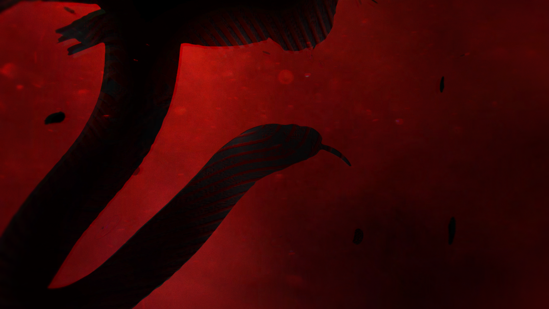 BOND_1_eye 7 (0.00.00.00).png