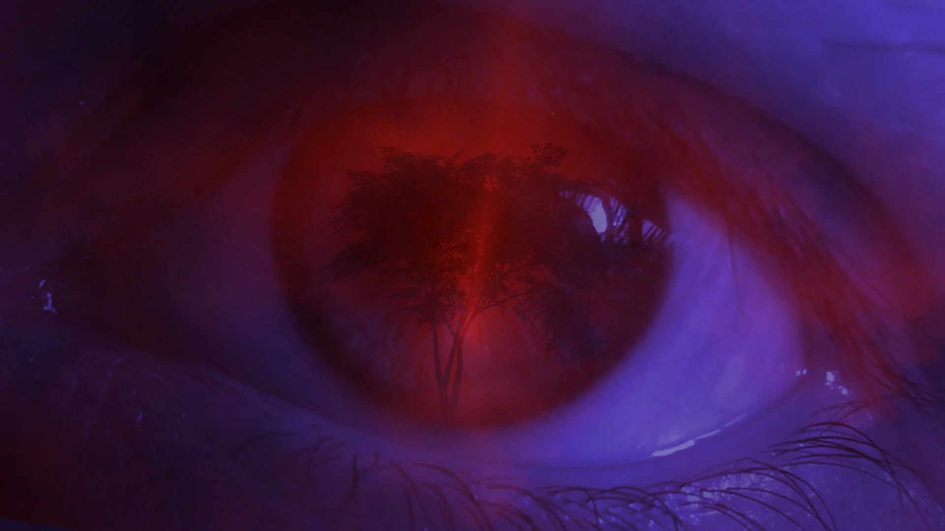 BOND_1_eye 2 (0.00.00.11).jpg