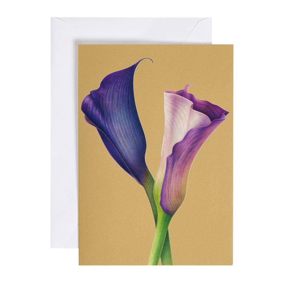 87497_05-Purple-Calla-Lilies-Sympathy-Card.jpg