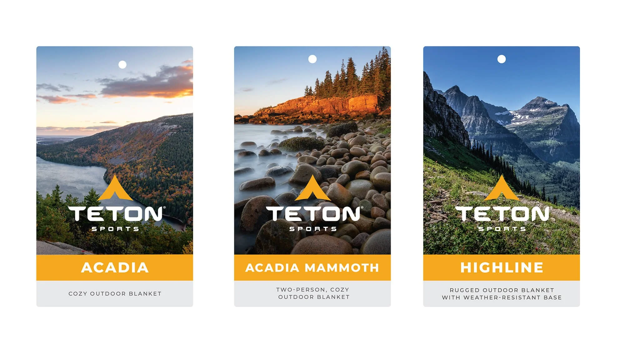 Teton Hang Tags_Fronts_1.jpg