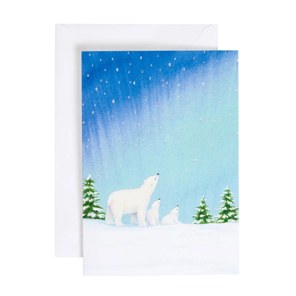 89541_25-Arctic-Sky-Foil-Christmas-Card_.jpg