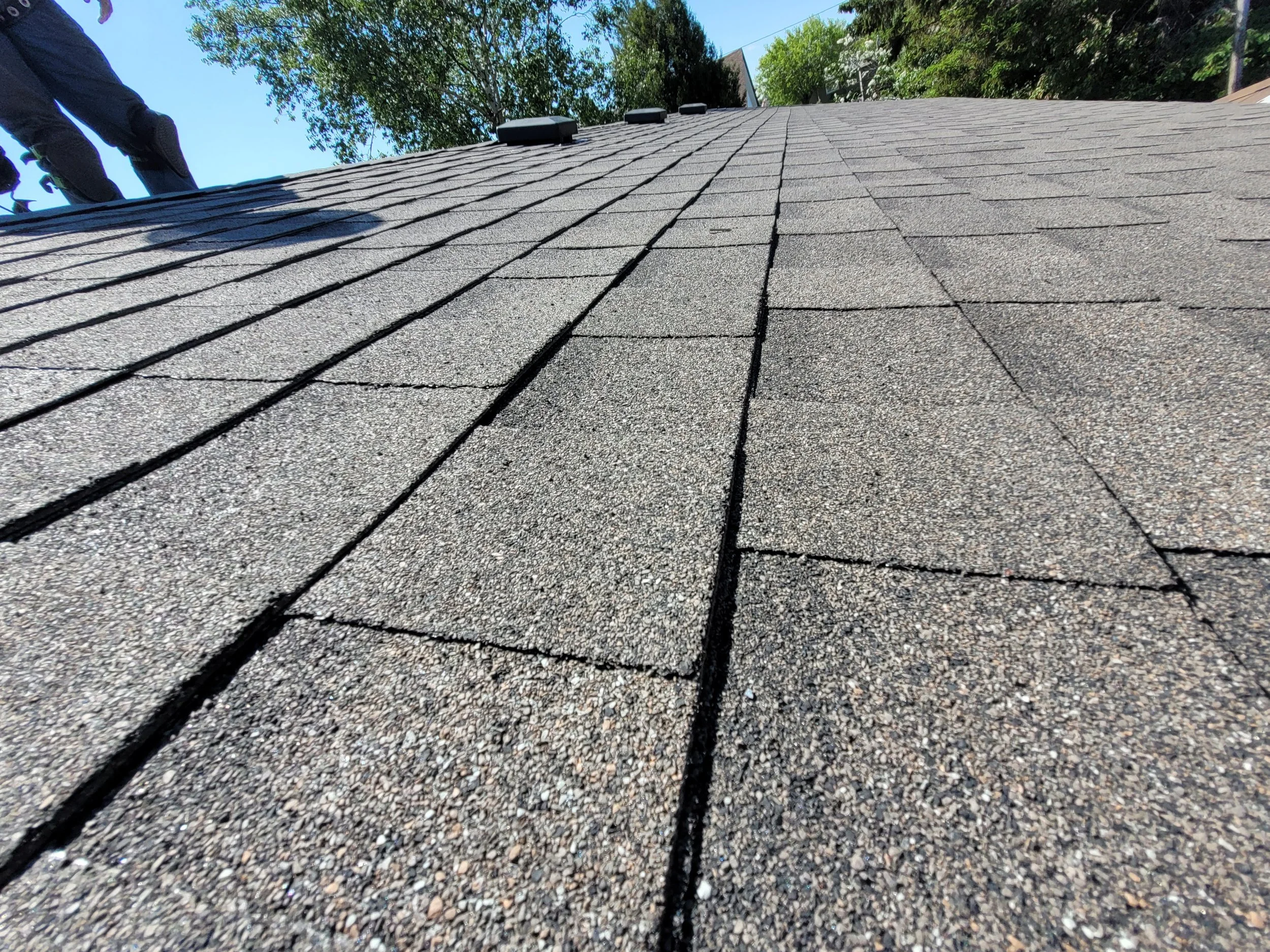 View from the ground of a shingled roof with vents, trees, and clear blue sky in the background.