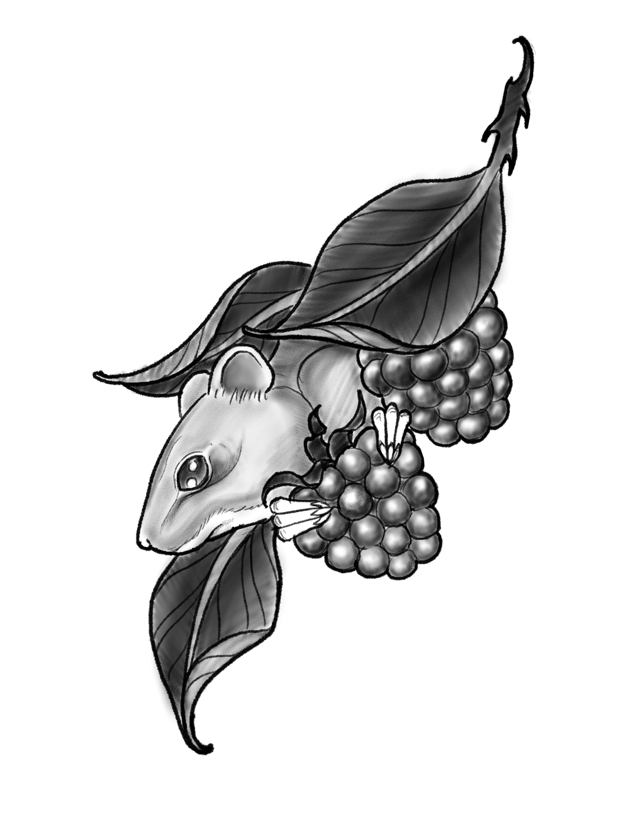 Pre Drawn Design B | $600 | Click image to book