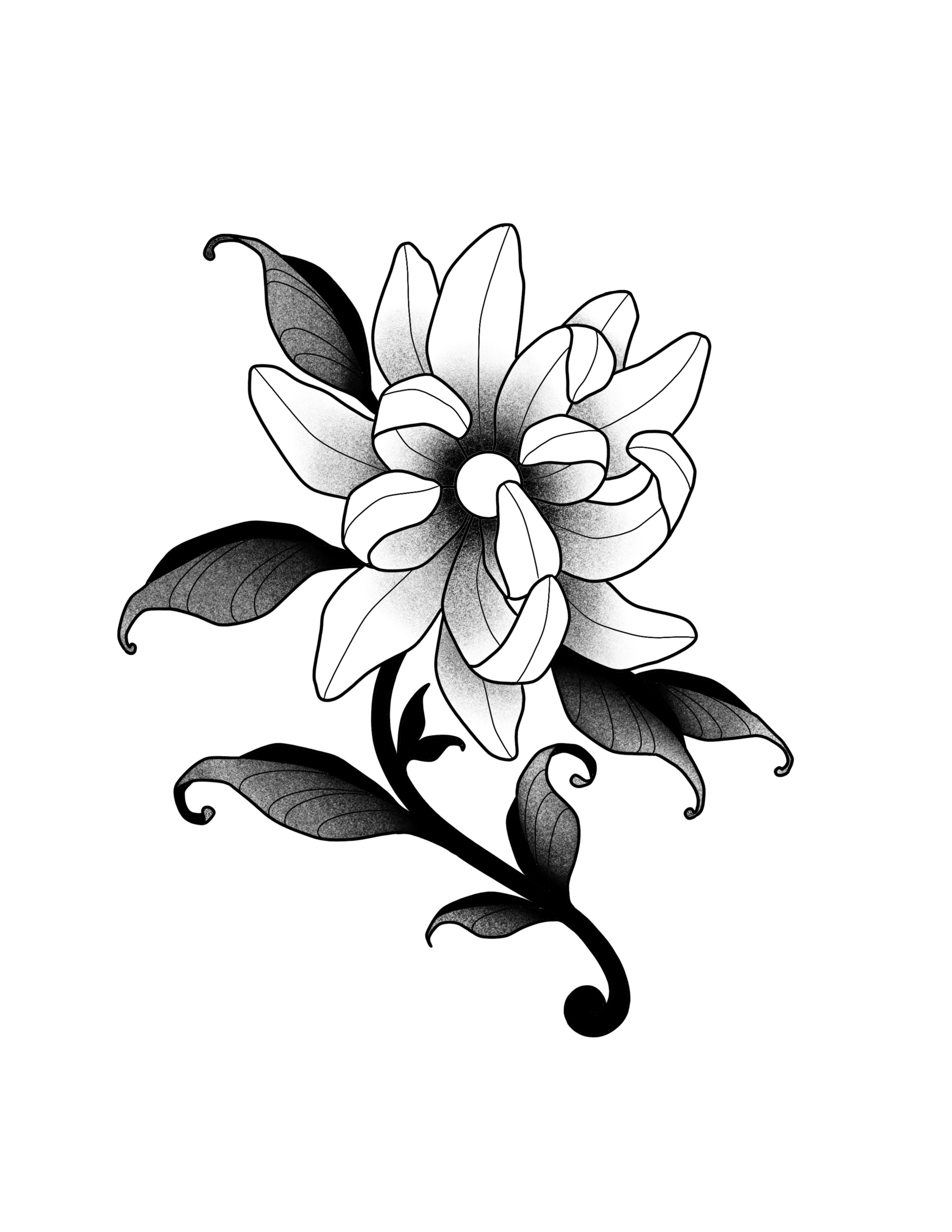 Untitled_Artwork 6.PNG