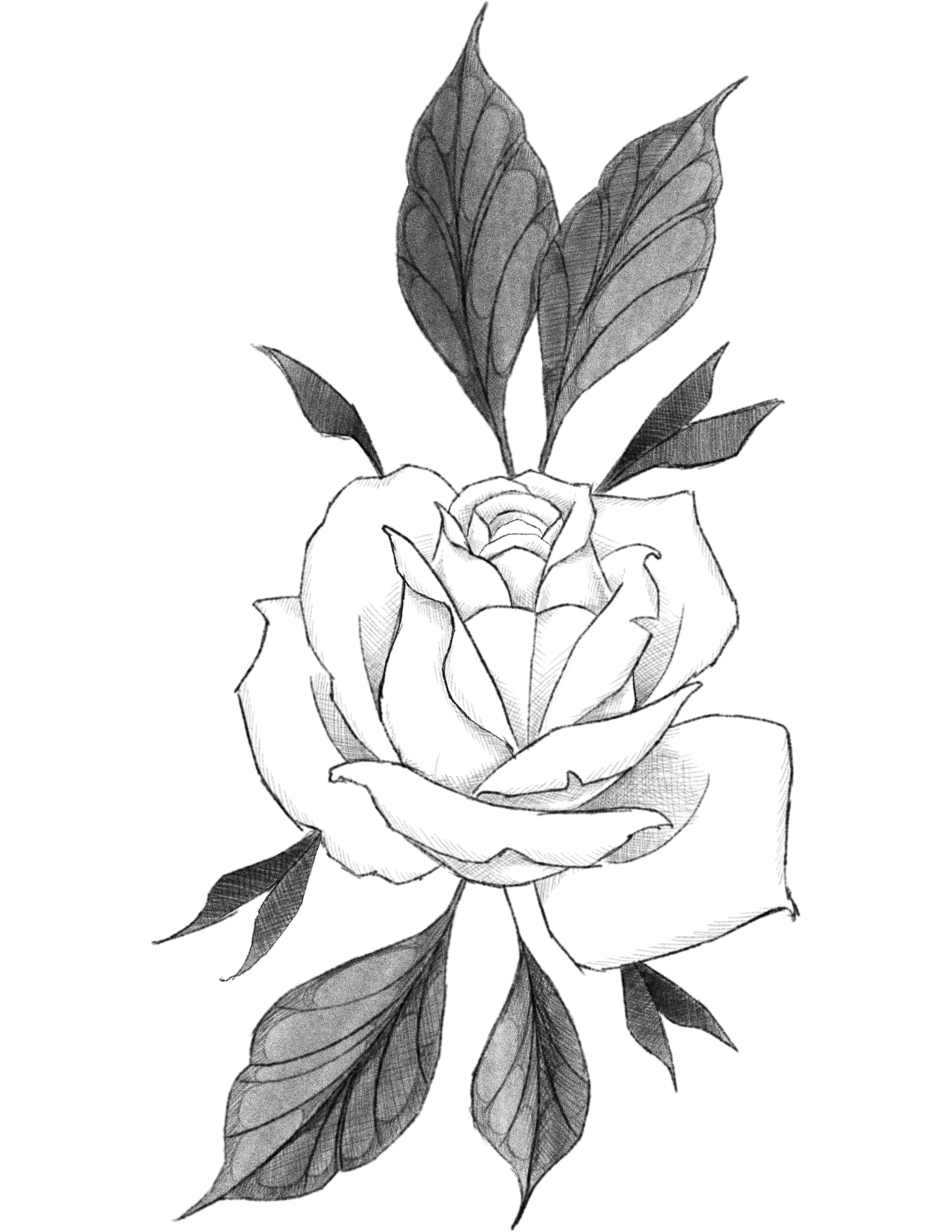 Pre Drawn Design J | $450 | Click image to book