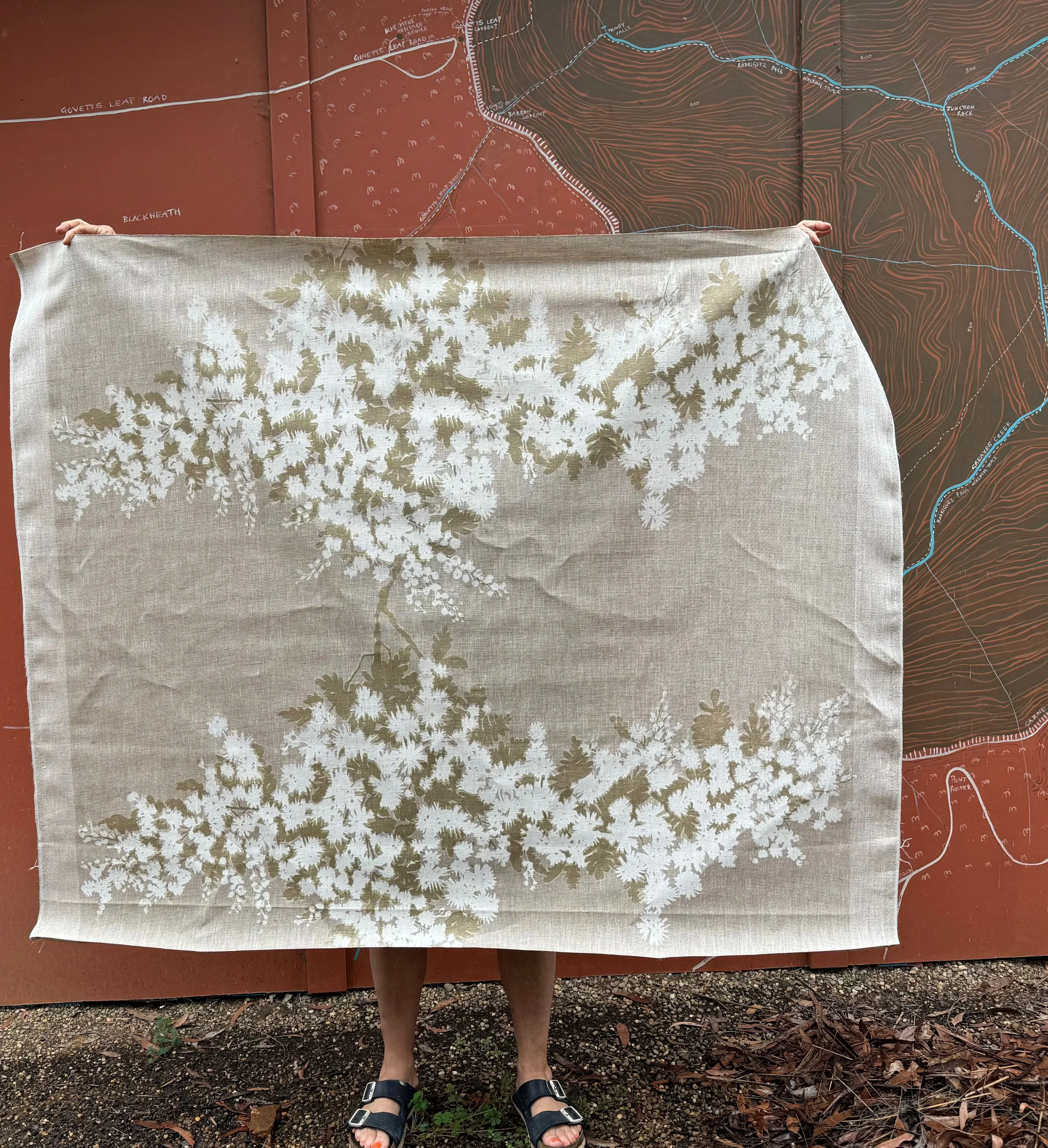 wattle-cloudy-piece-heic.jpeg
