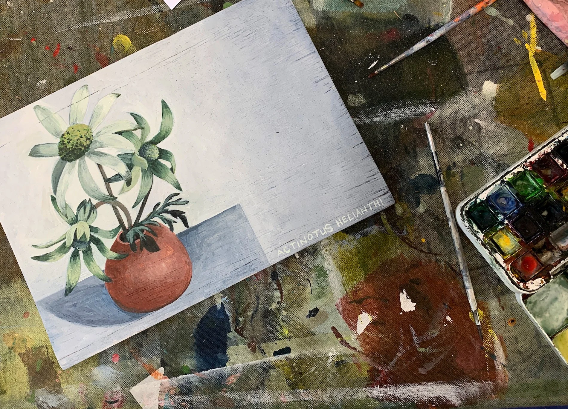 flannel_flower_artworkJPG.JPG